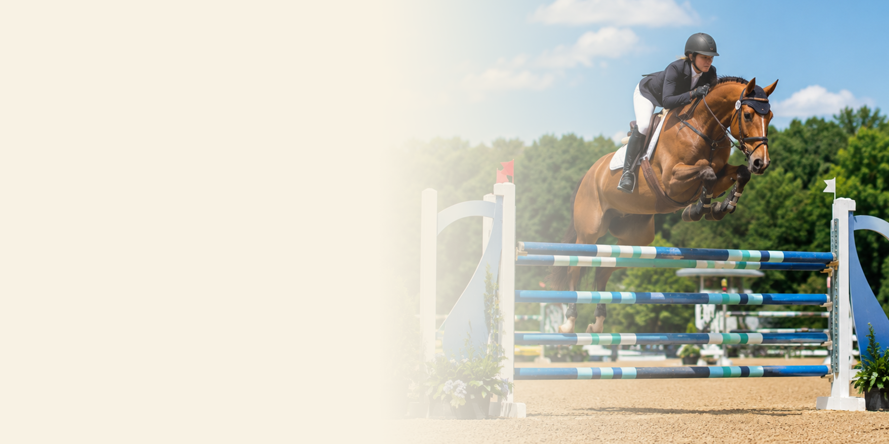 Performance Horse Feed