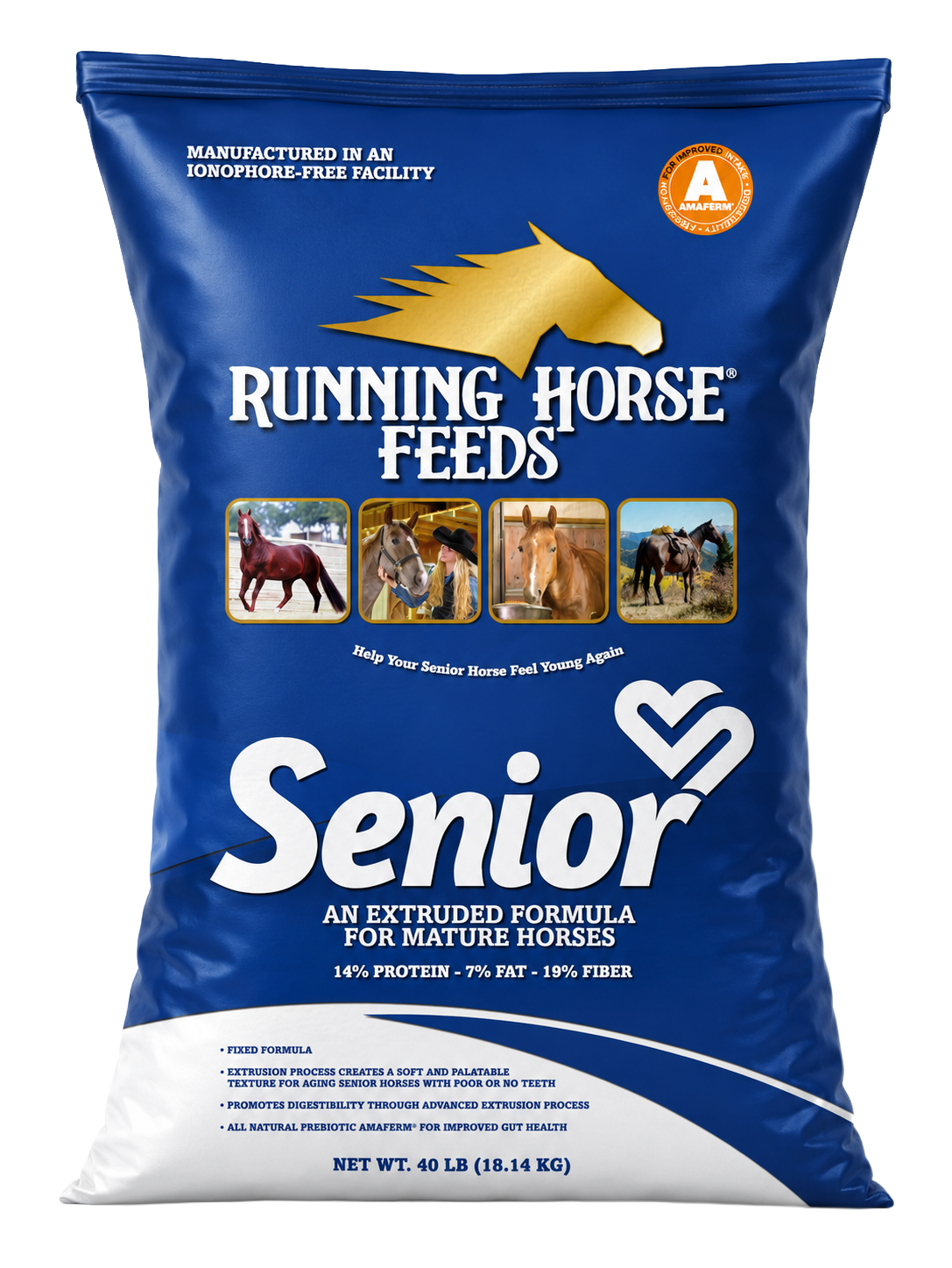 SENIOR FEED