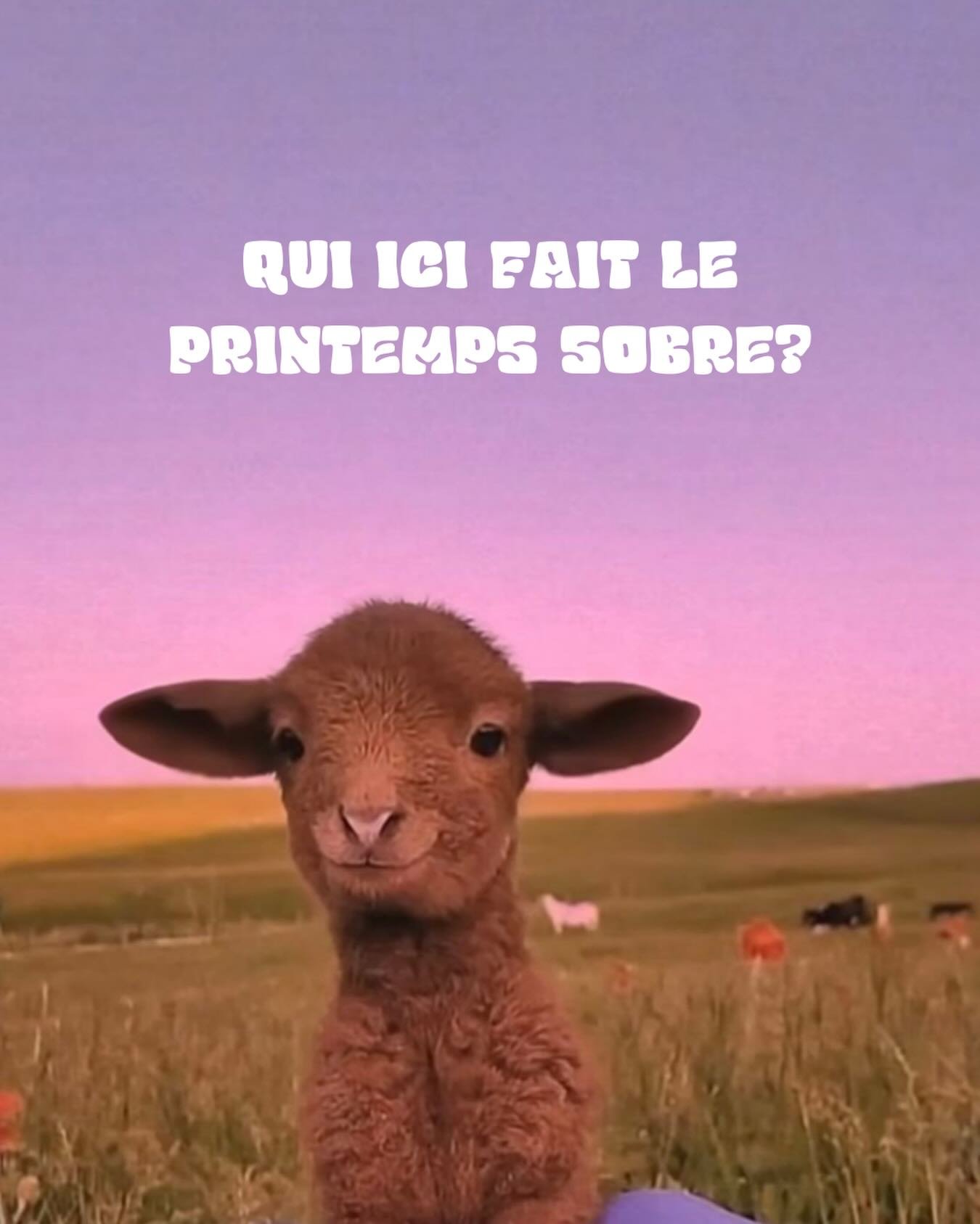 Mets un 🌱en commentaire si tu fais le printemps sobre! 

Bon. On sait que dehors &ccedil;a ressemble pas vraiment au printemps.. mais c&rsquo;est d&eacute;j&agrave; demain, et on trouve quand m&ecirc;me que c&rsquo;est une belle occasion de mettre q