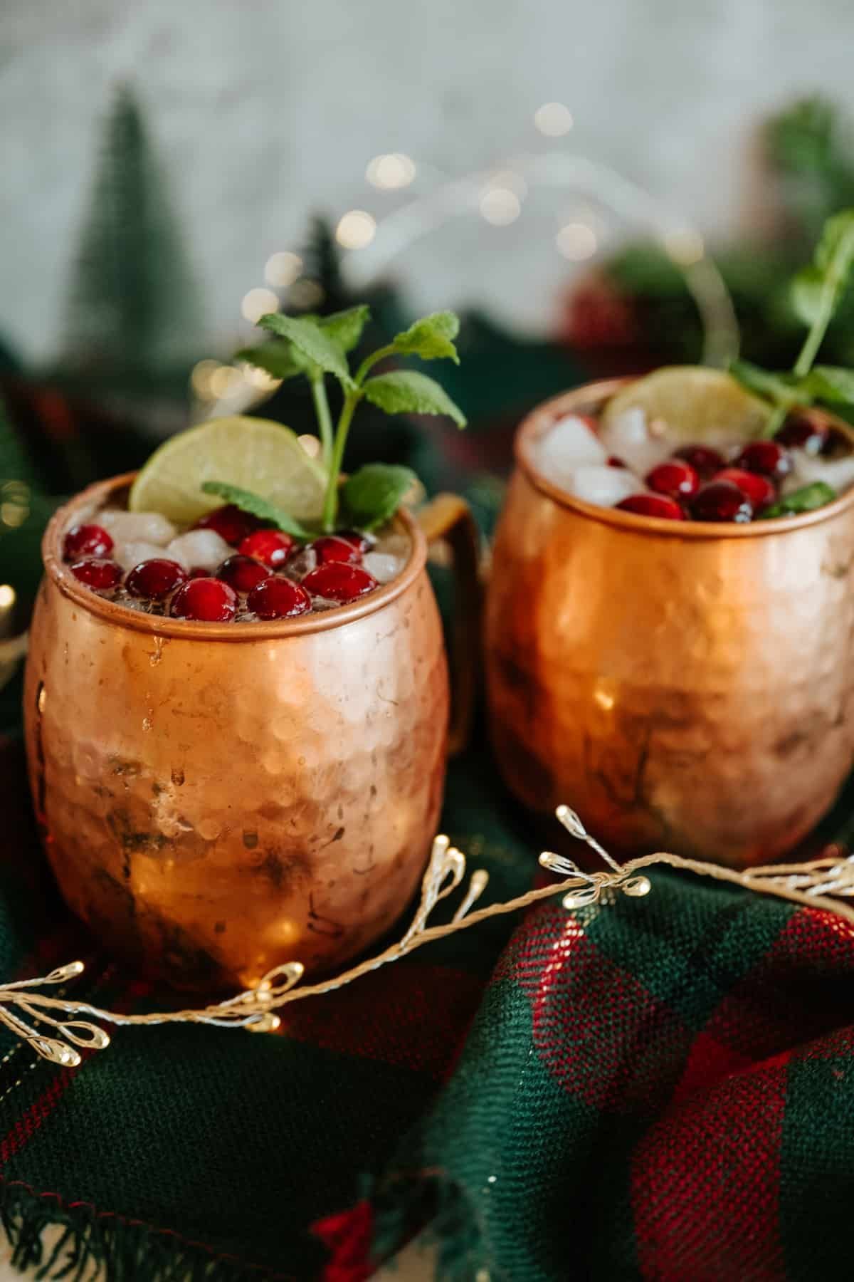 Kit des Fêtes « Mexican spicy mule »