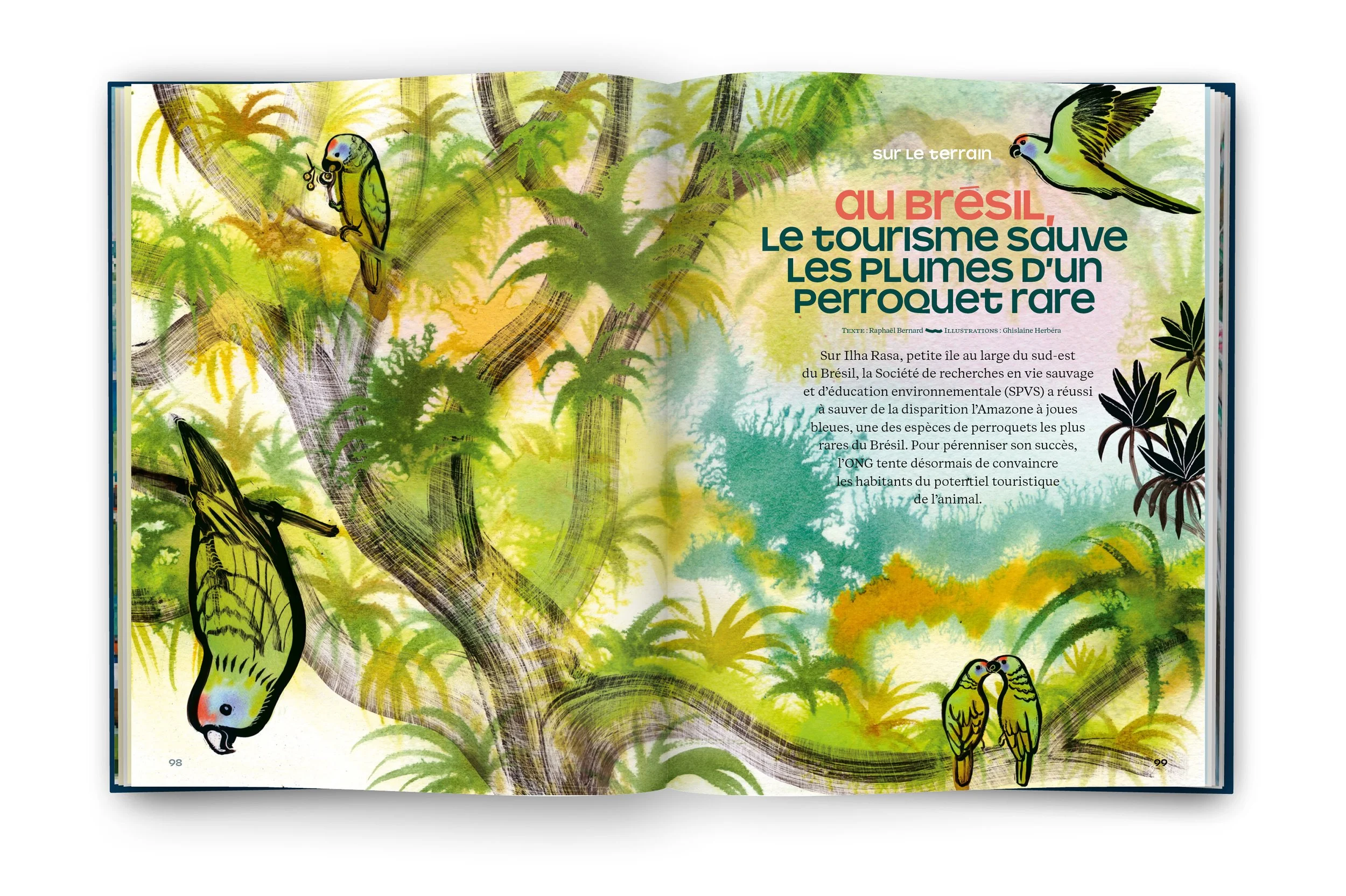 BOOK INT-800x533-LIceberg212.jpg