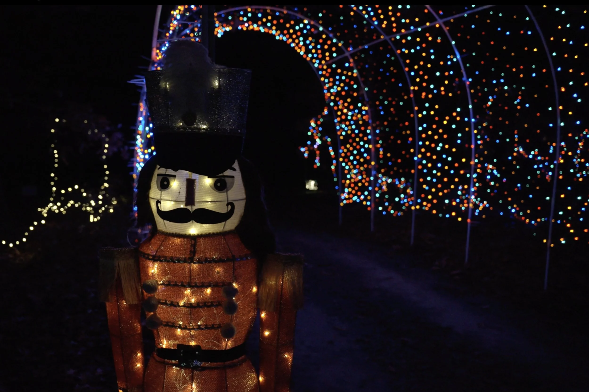 Markowski Christmas Lights