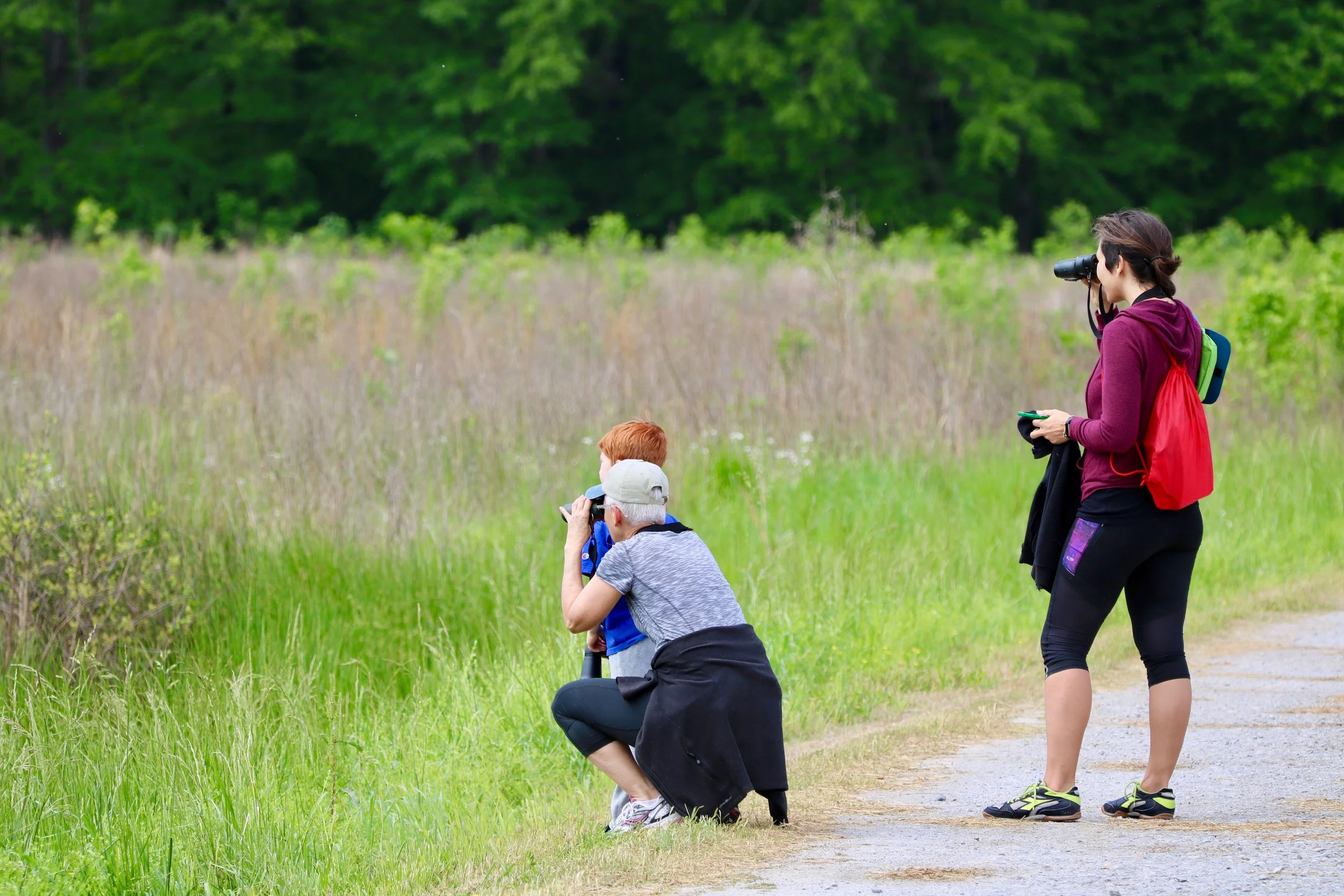 April in Brownsville: Birds, Blooms &amp; Soulful Spring Vibes