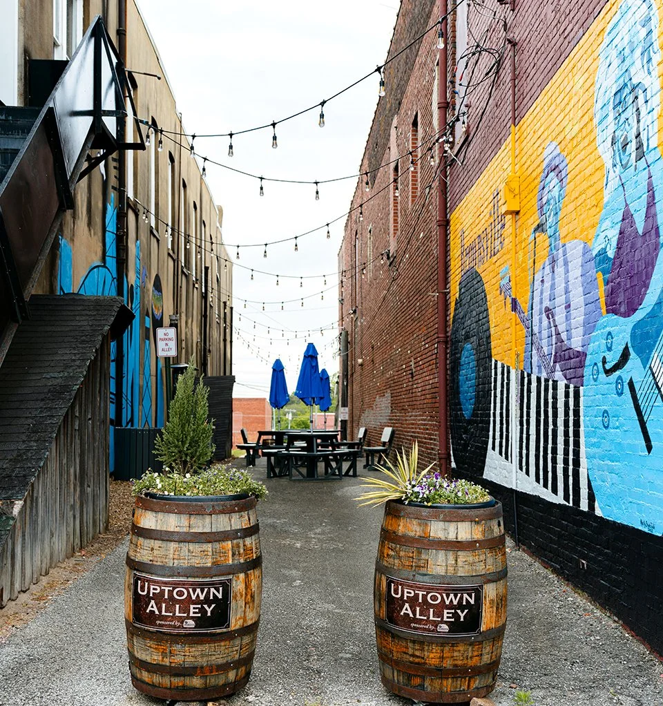 Walking through Uptown Alley you experience a depiction of the MindField Sculpture and a Brownsville TN mural paying tribute to Tina Turner and Sleepy John Estes.