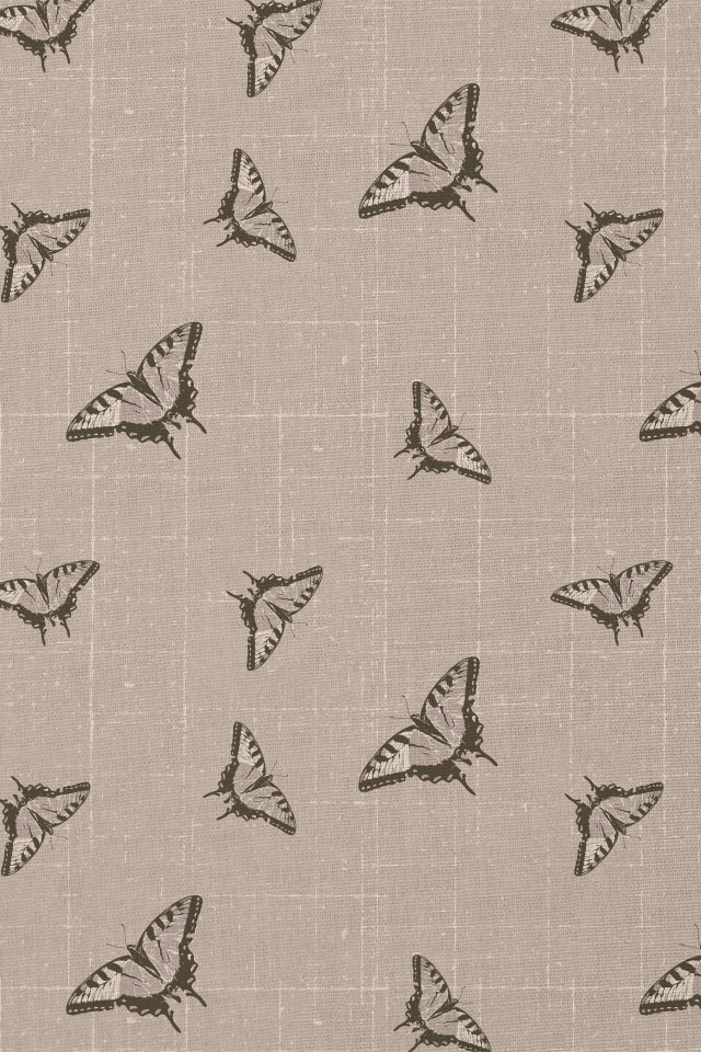 butterfly texture.jpg