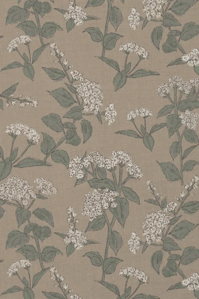 hydrangea texture.jpg