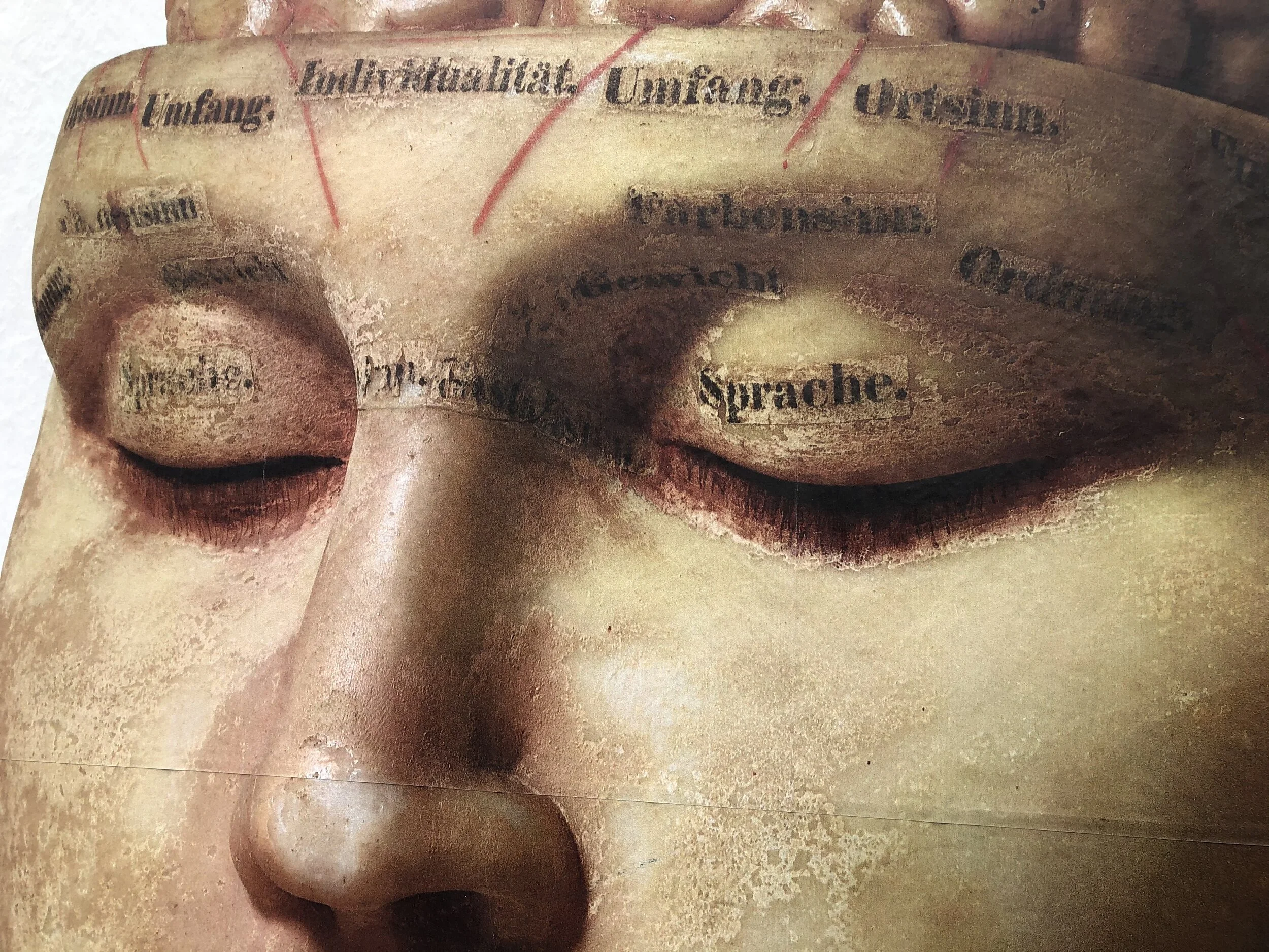 SpracheFace3968.jpeg
