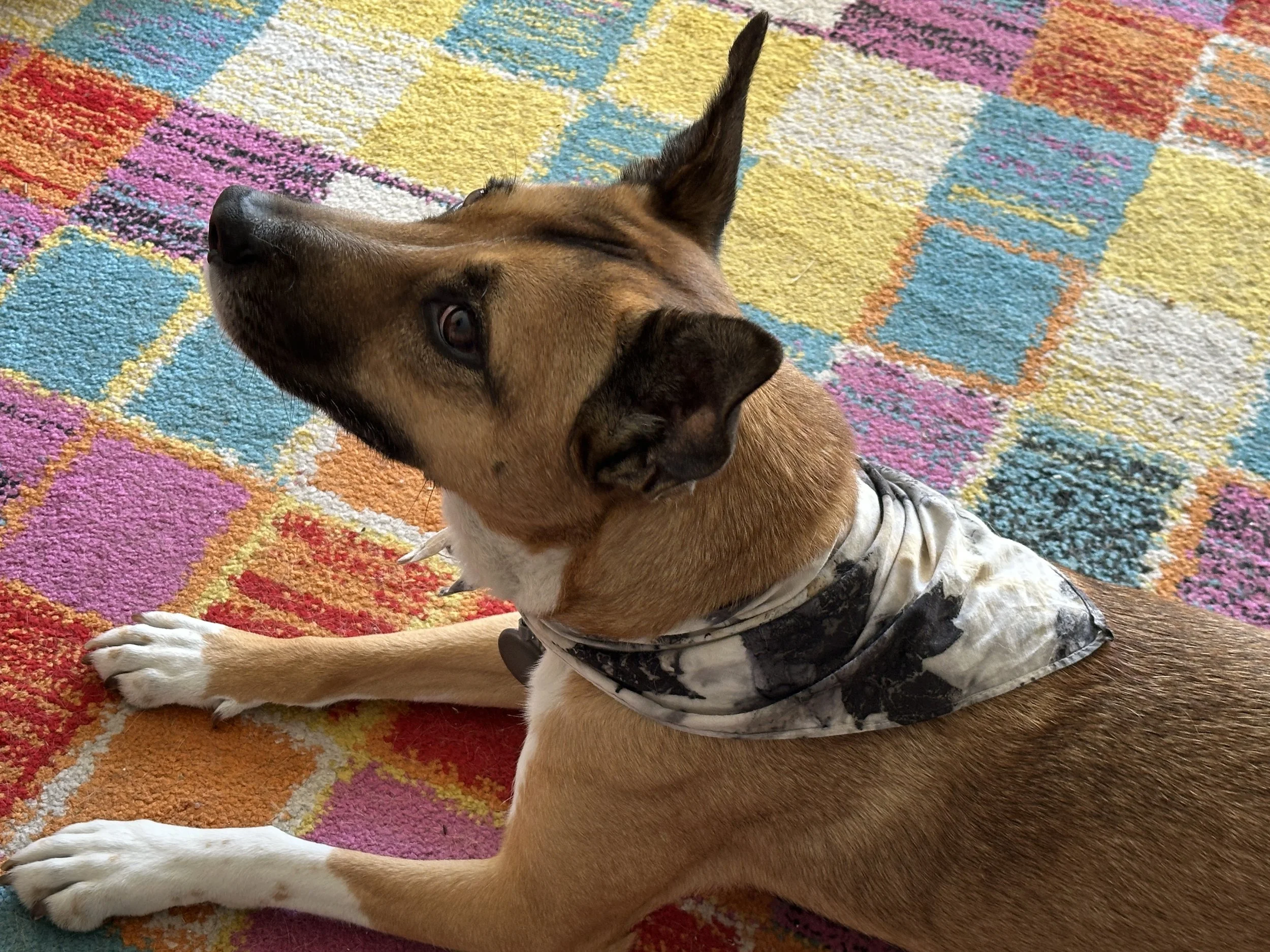 Eco-dyed Bandana by Janet Shier
