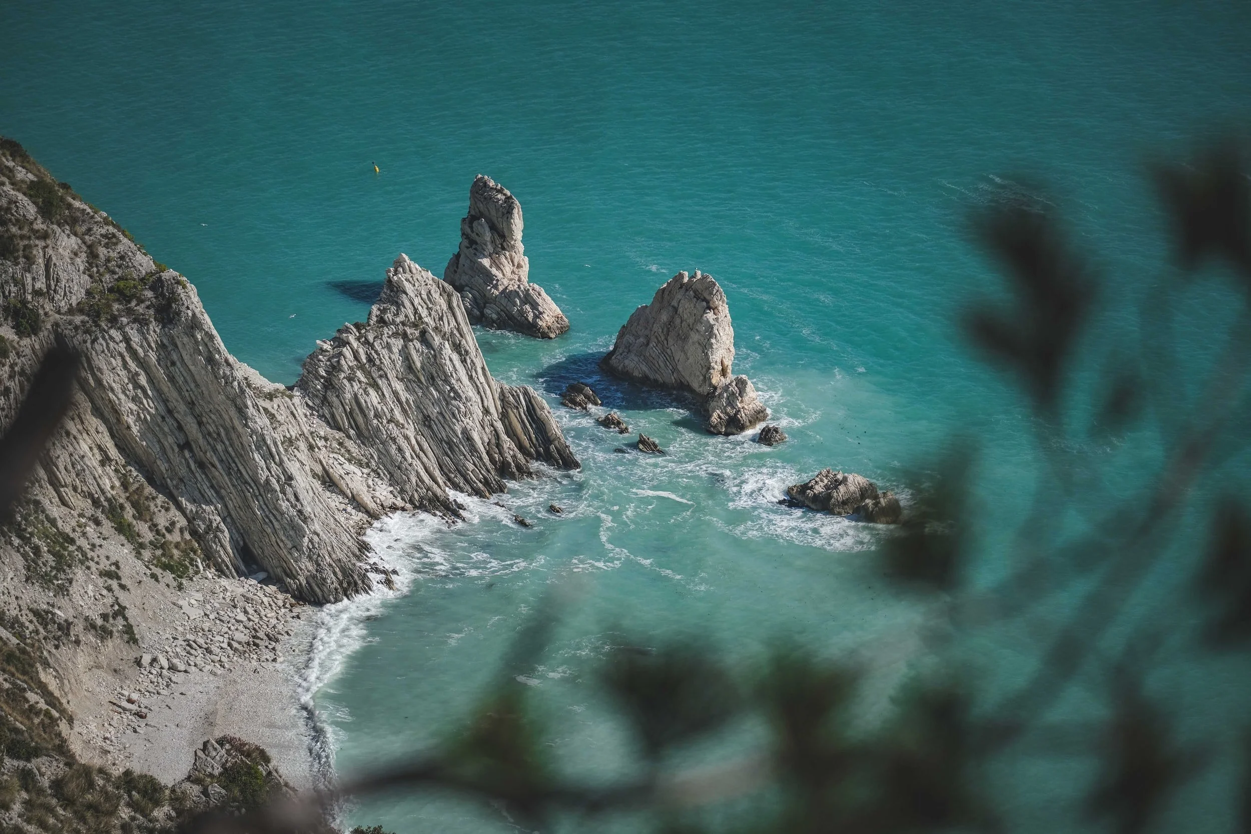 5 June: World Environment Day - Photo: Francesco Ungaro/Unsplash