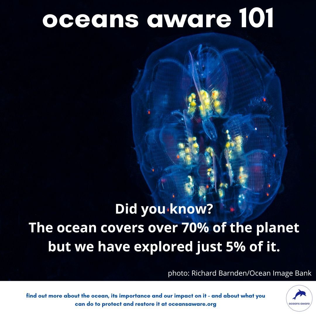 The ocean needs a new generation of ocean literate citizens - it's time to find out about the ocean and what we need to do to protect and restore it.
#oceanliteracy #oceanawareness