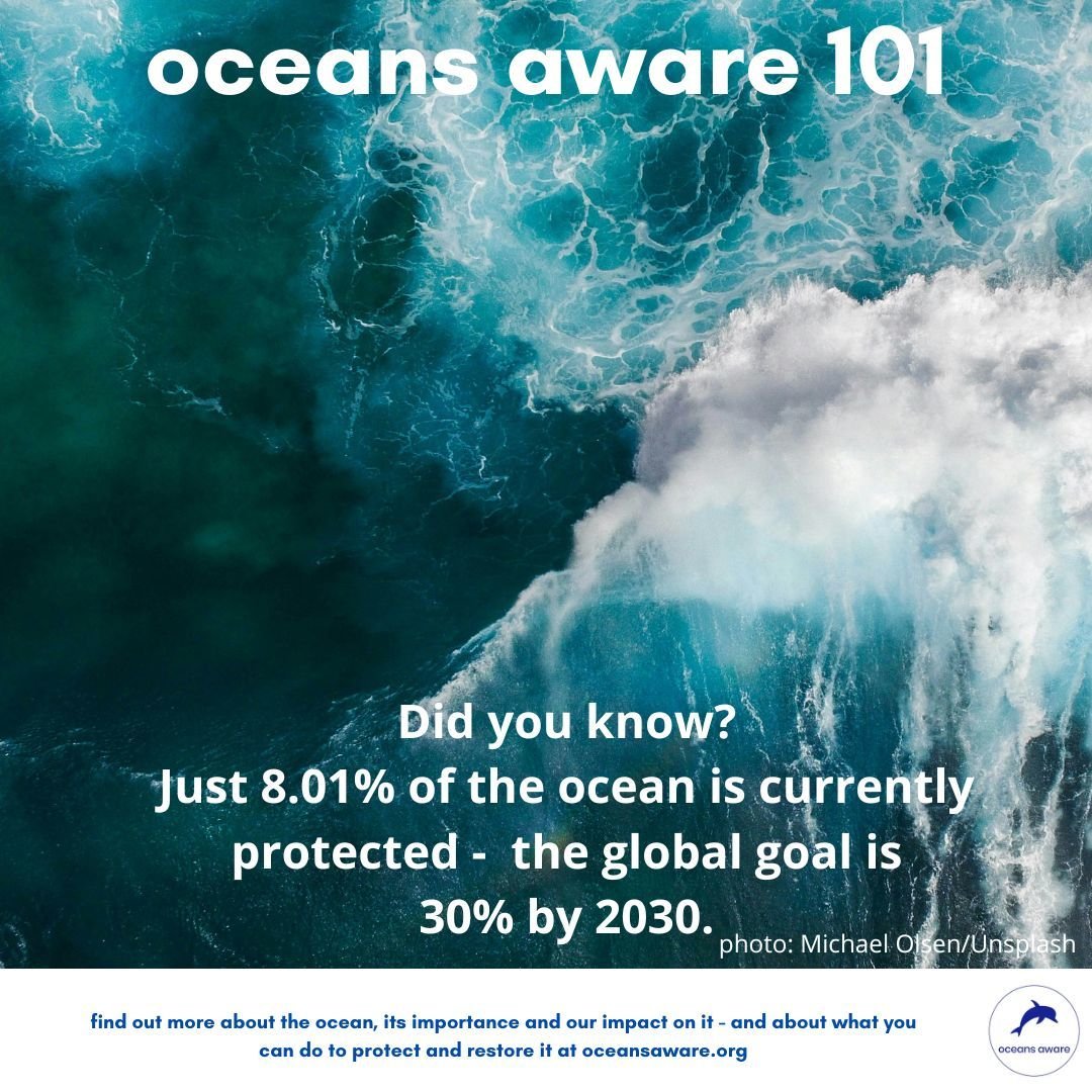 It's time to do more for the ocean: for the good of the ocean and the planet as a whole we need to have protected 30% by 2030. Find out more at oceans aware.
#oceanliteracy #oceanawareness #riseup4theocean