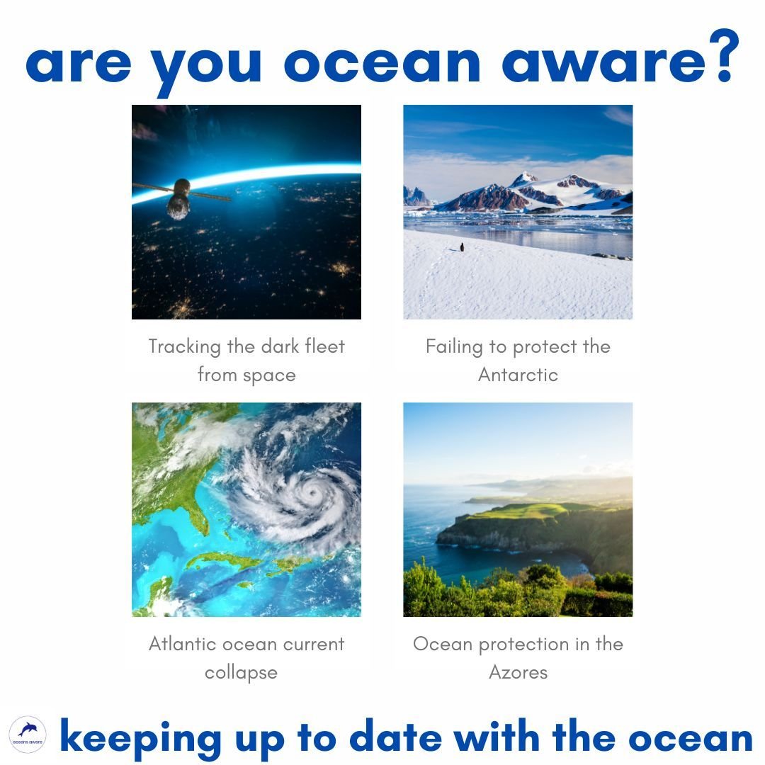 News from the ocean at https://oceansaware.org/ocean-news

#oceanawareness #oceanliteracy