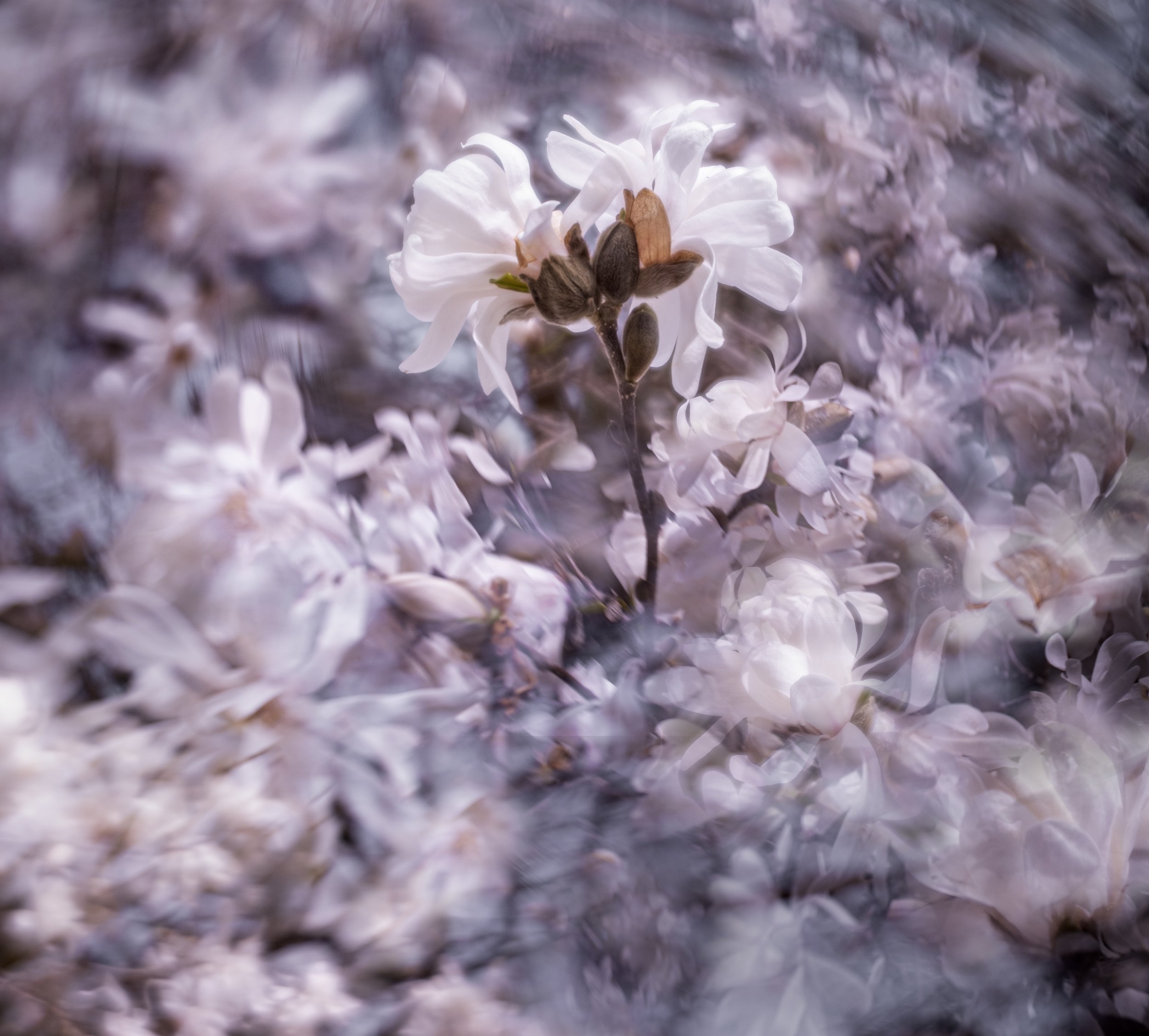 Swept Up