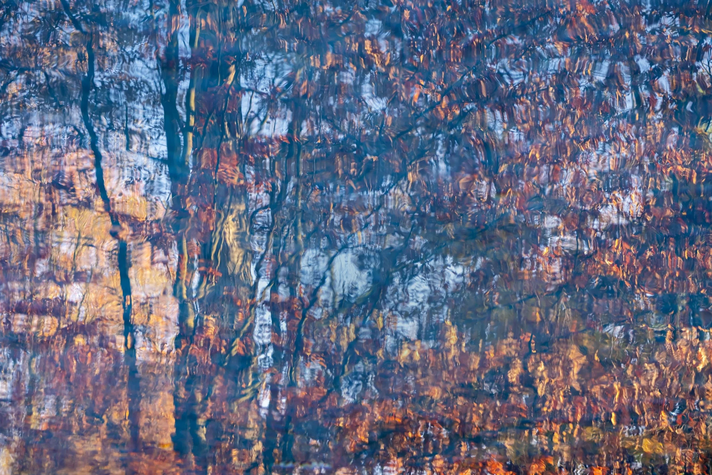 Oil on Water