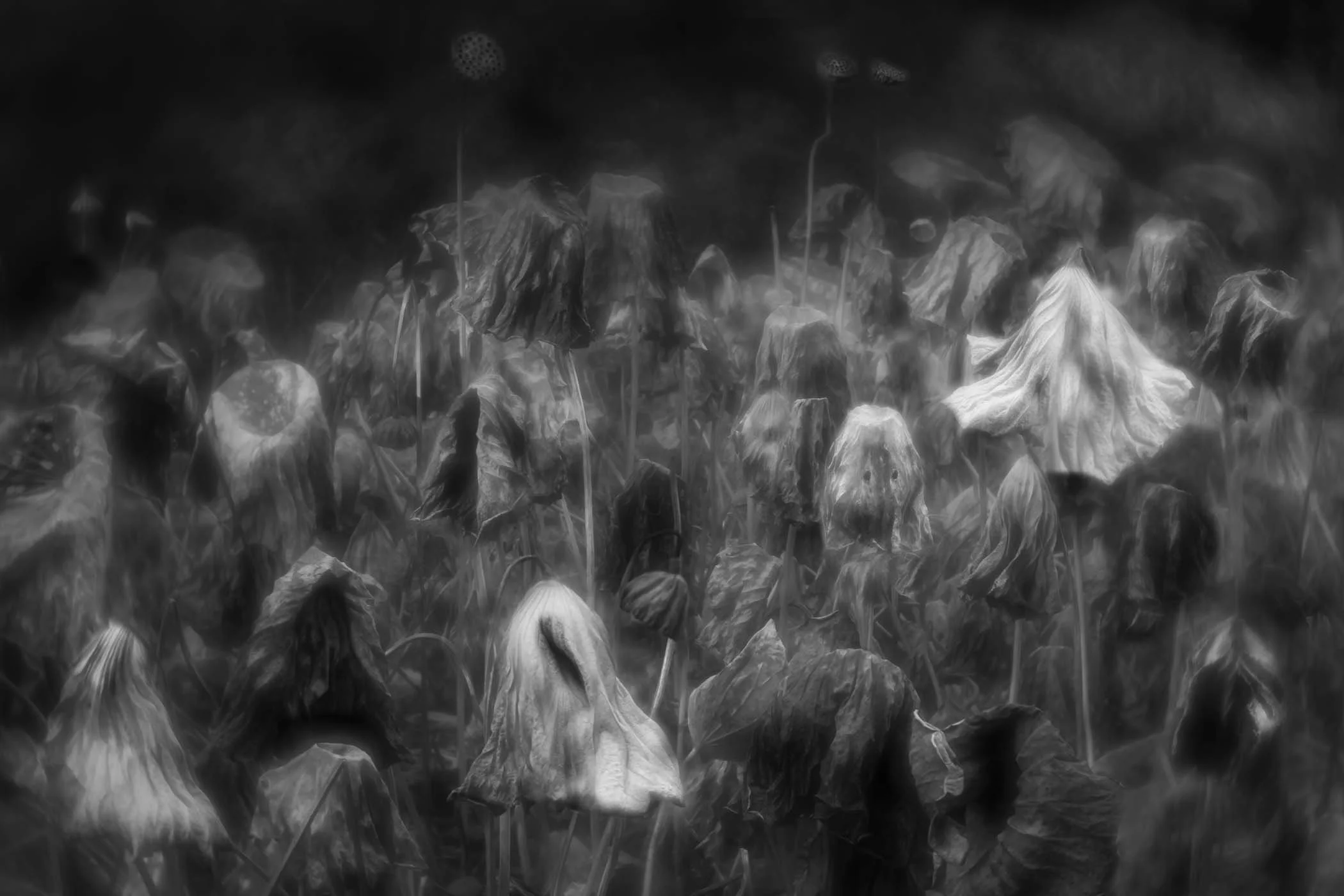 Yet All Awake