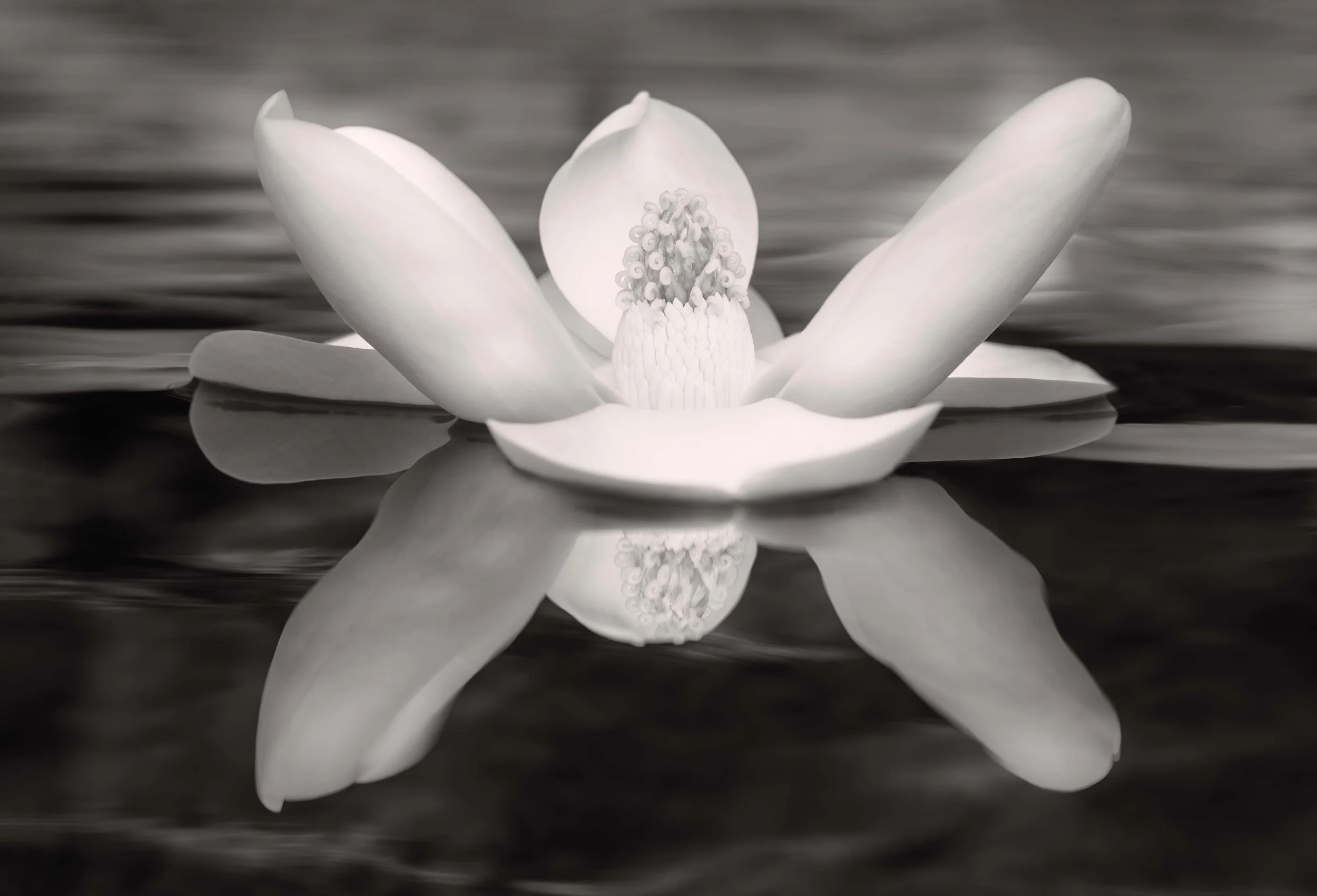 Fragrant & Cool