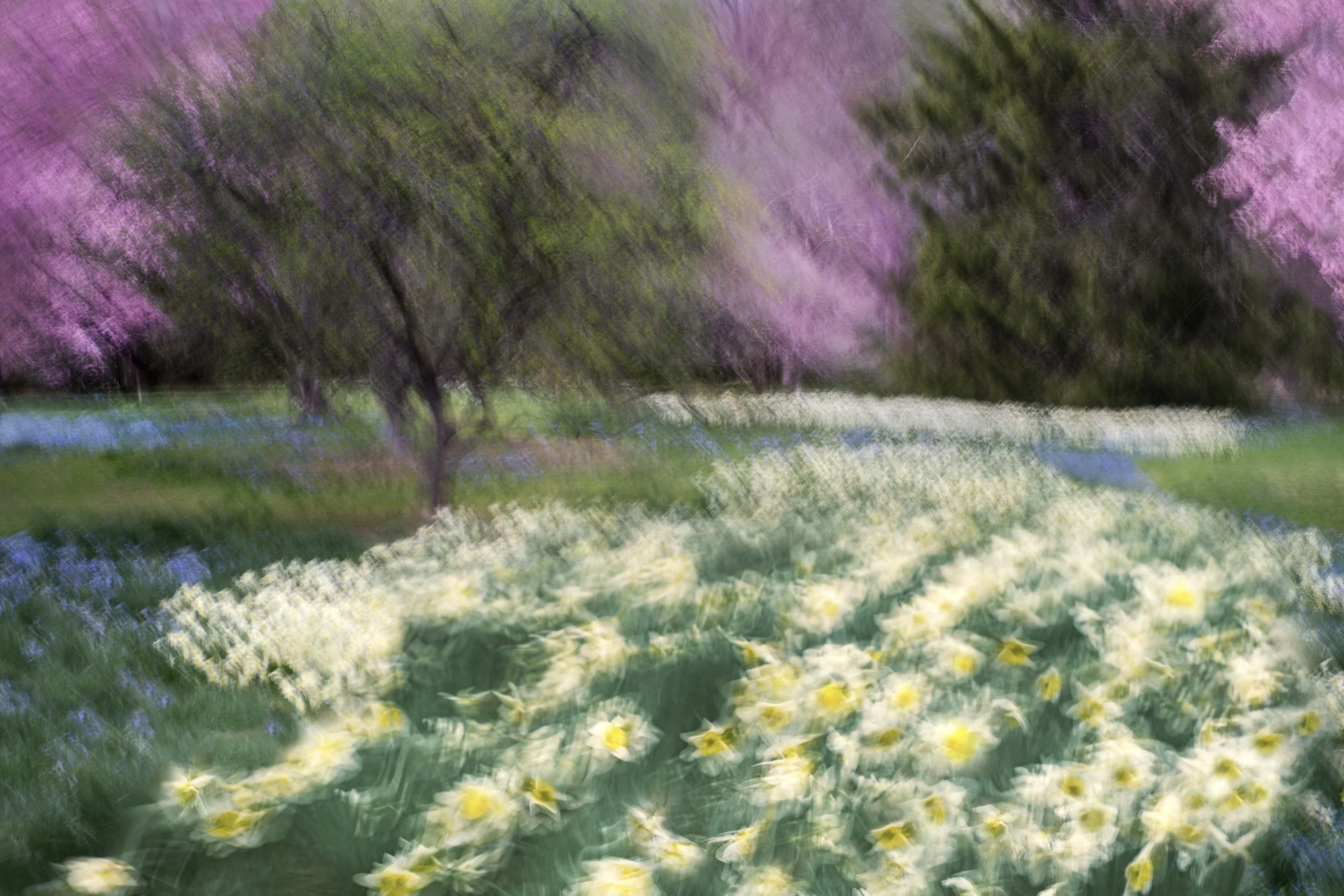The Garden Exhales