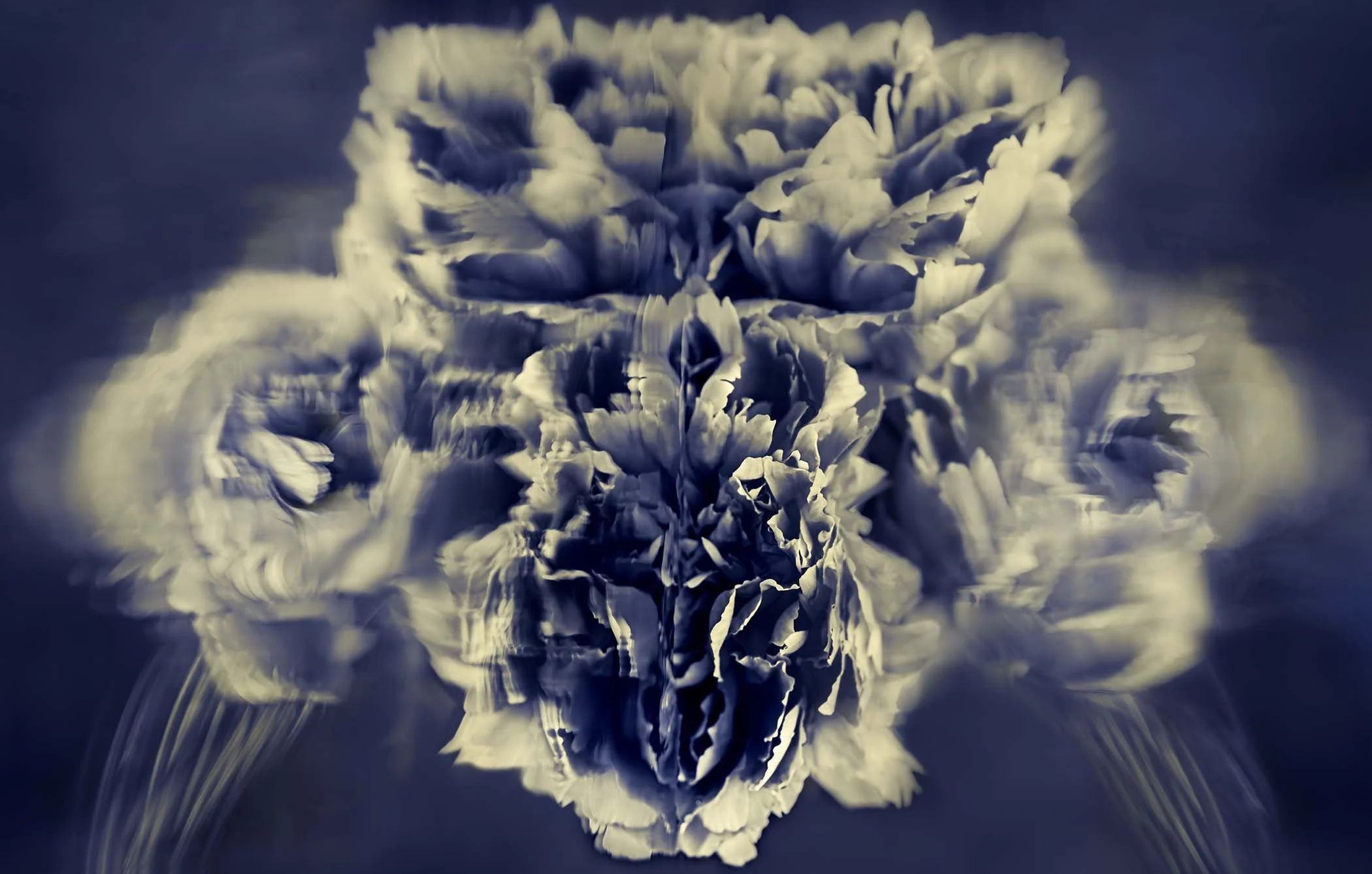 What Do You See?