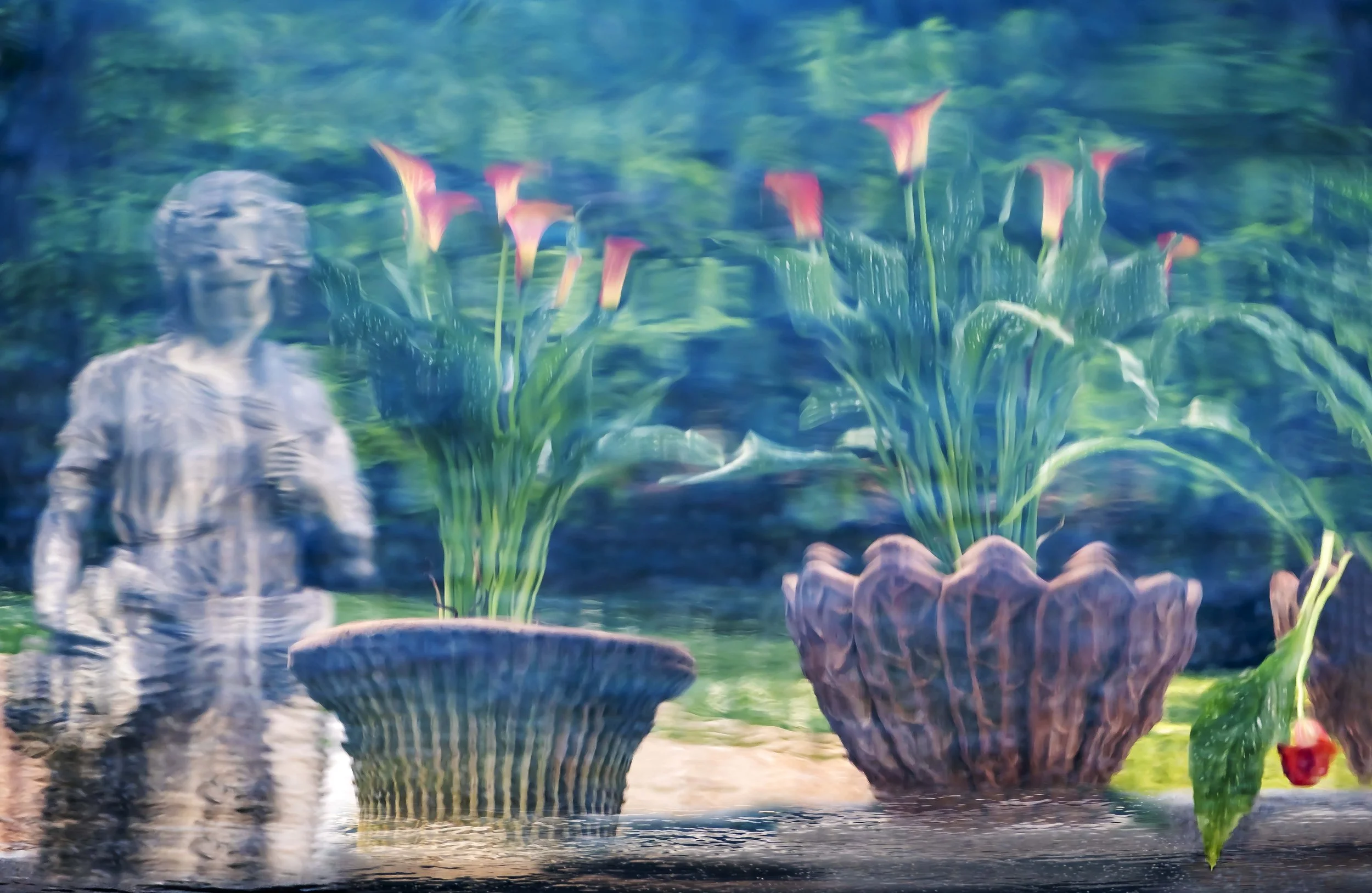 Flora