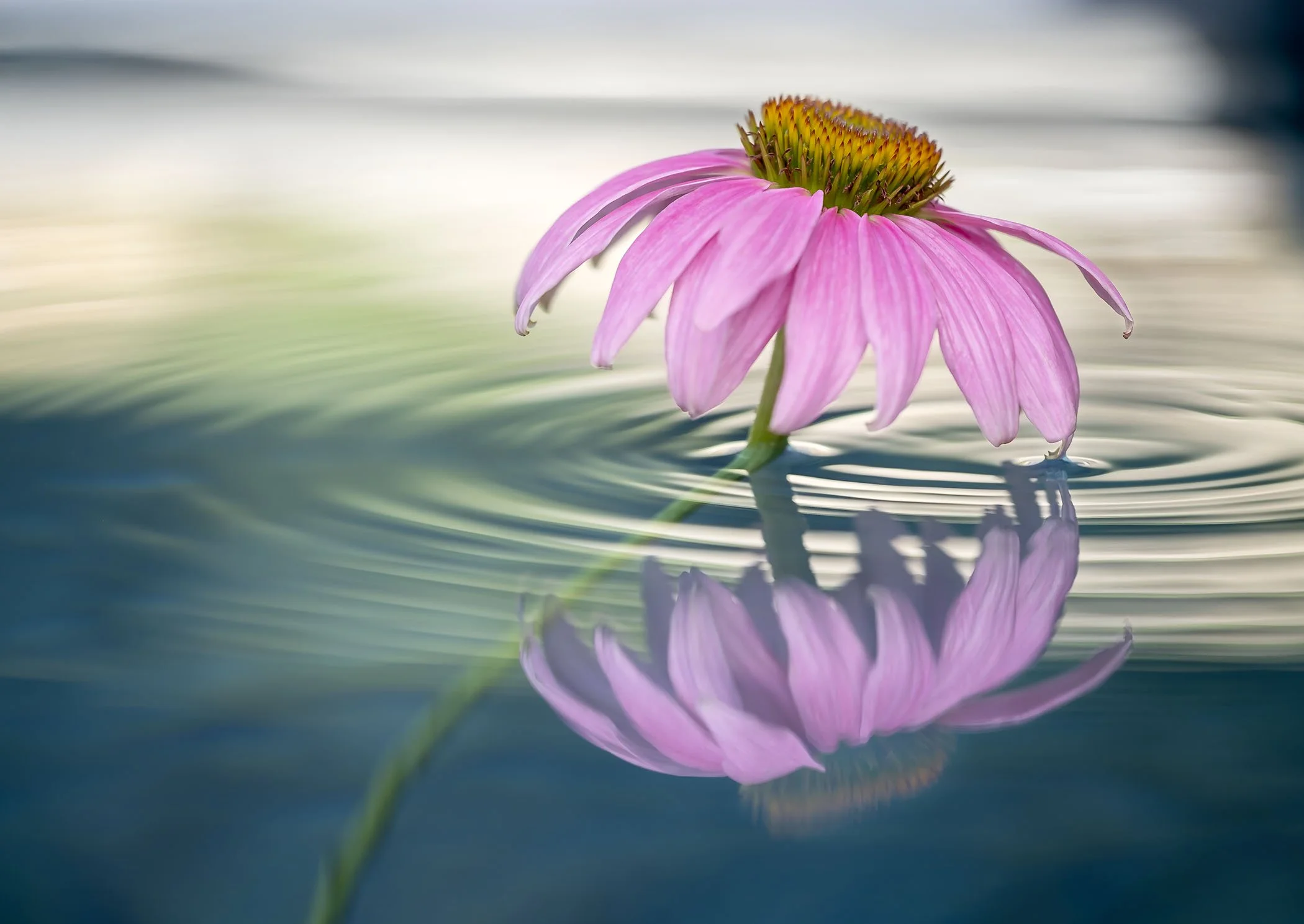 Testing the Waters