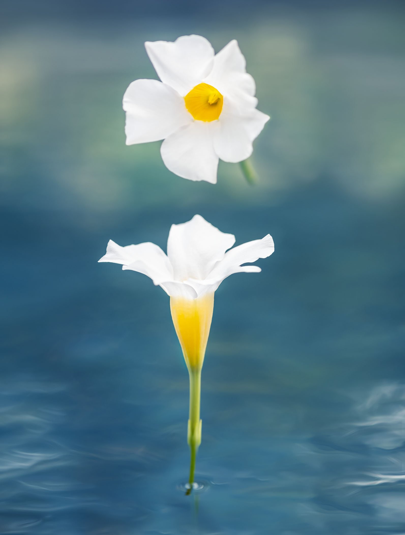 Ease and Peace