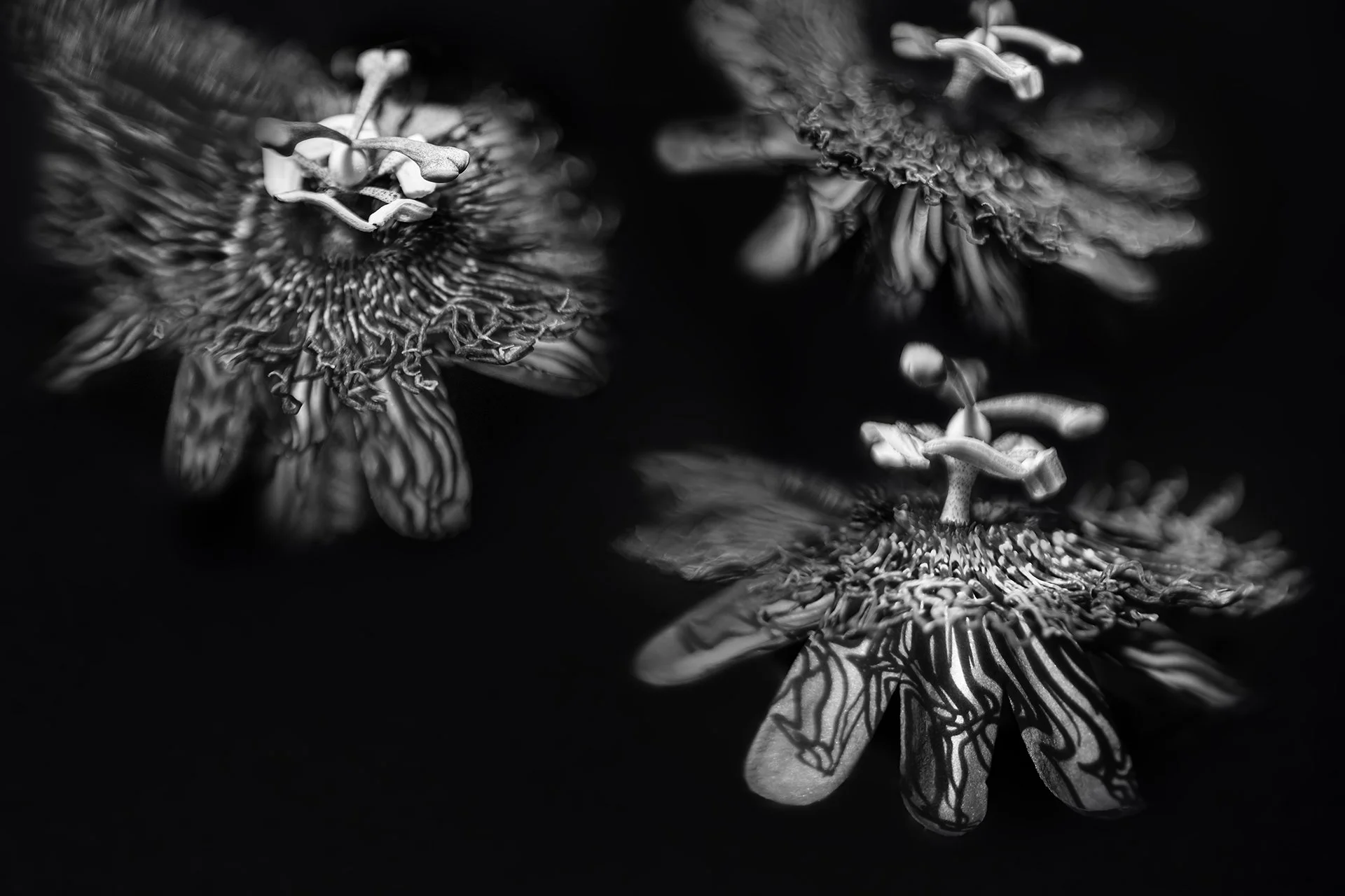 Unidentified