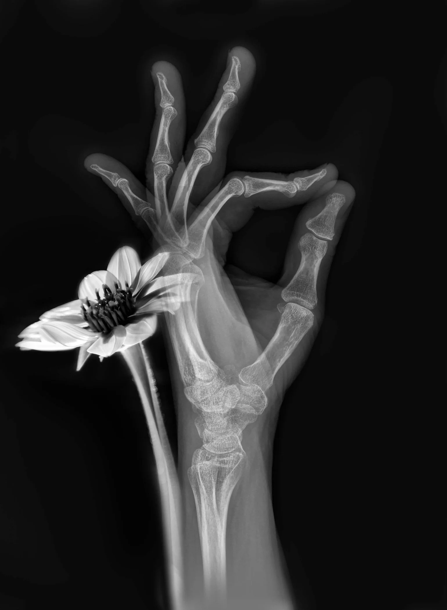 Strange Findings