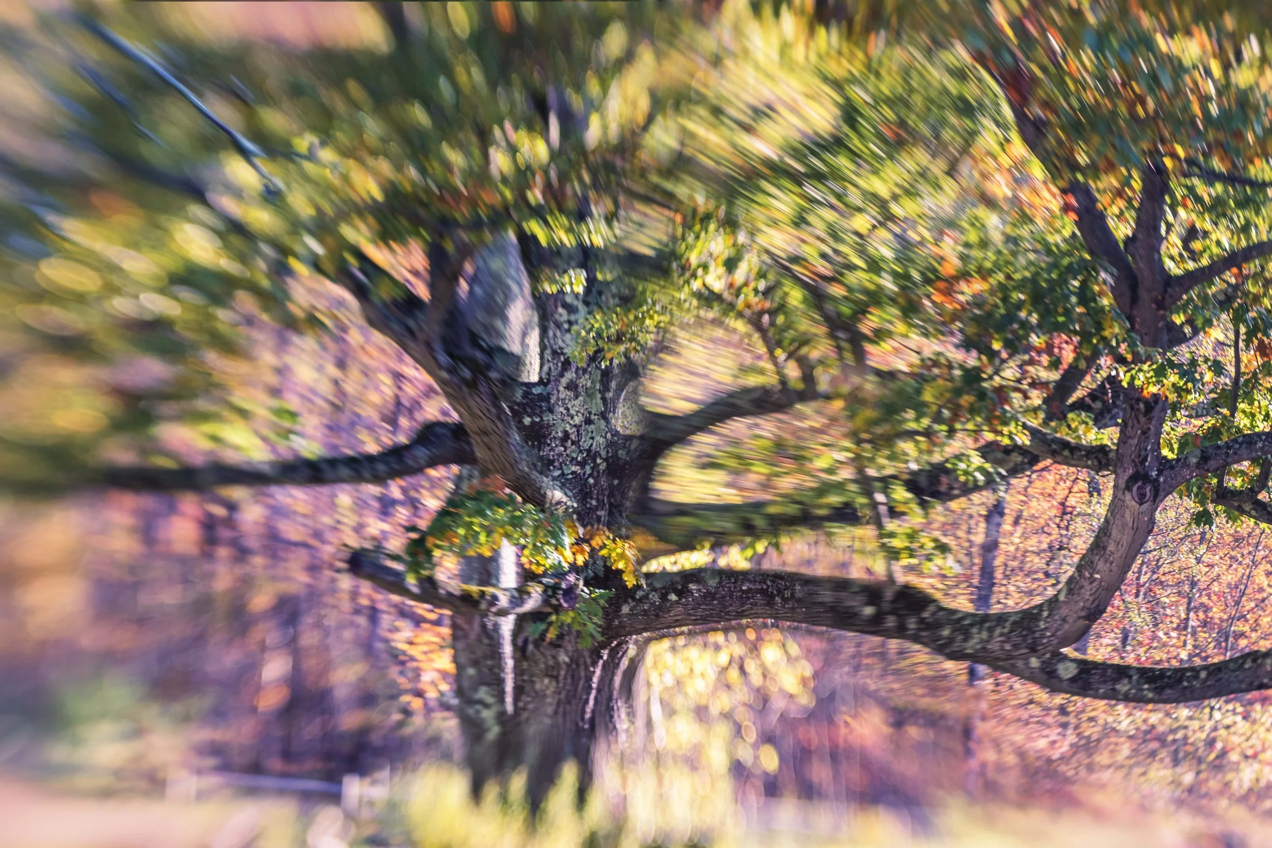 Out There