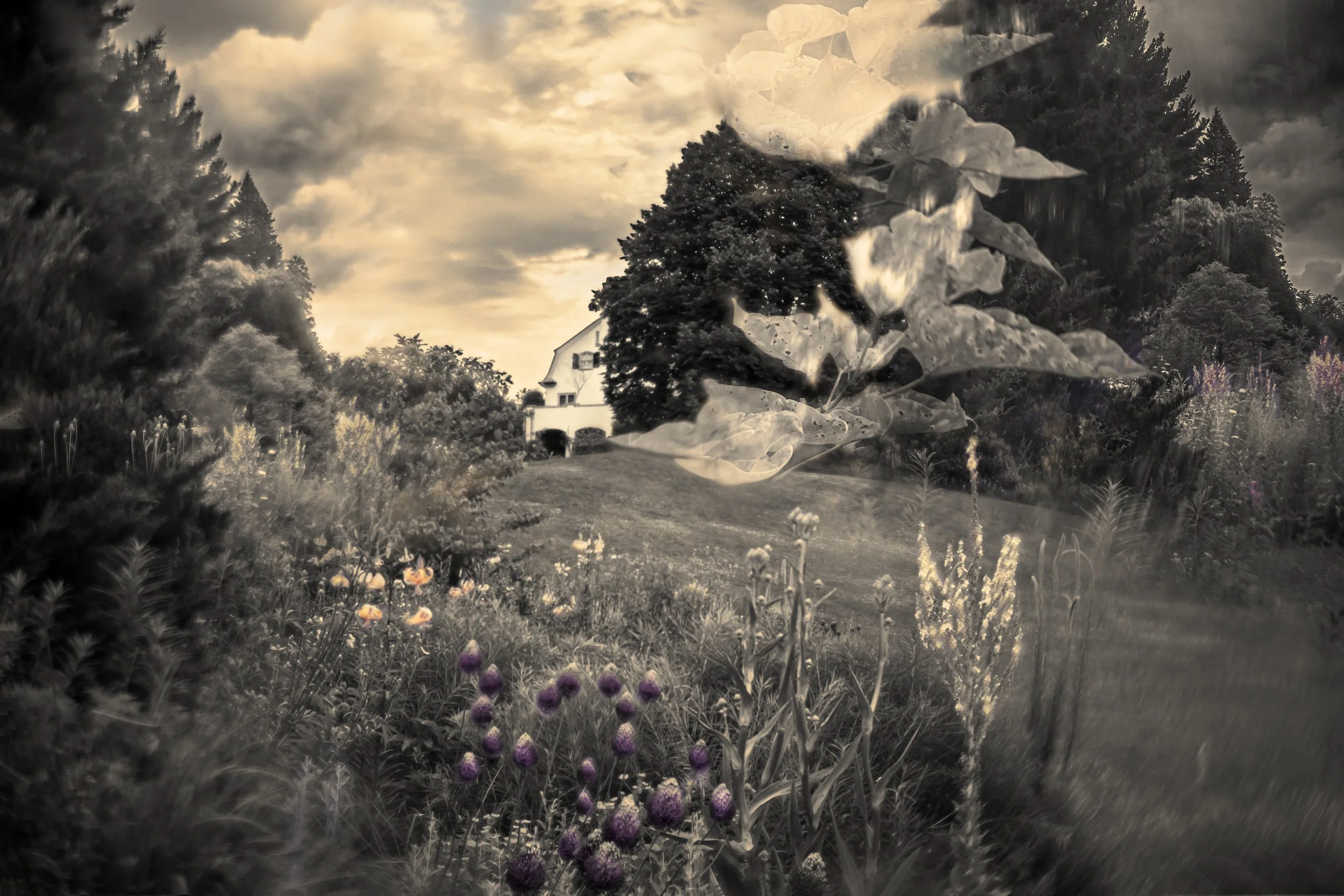 Pleasure Garden