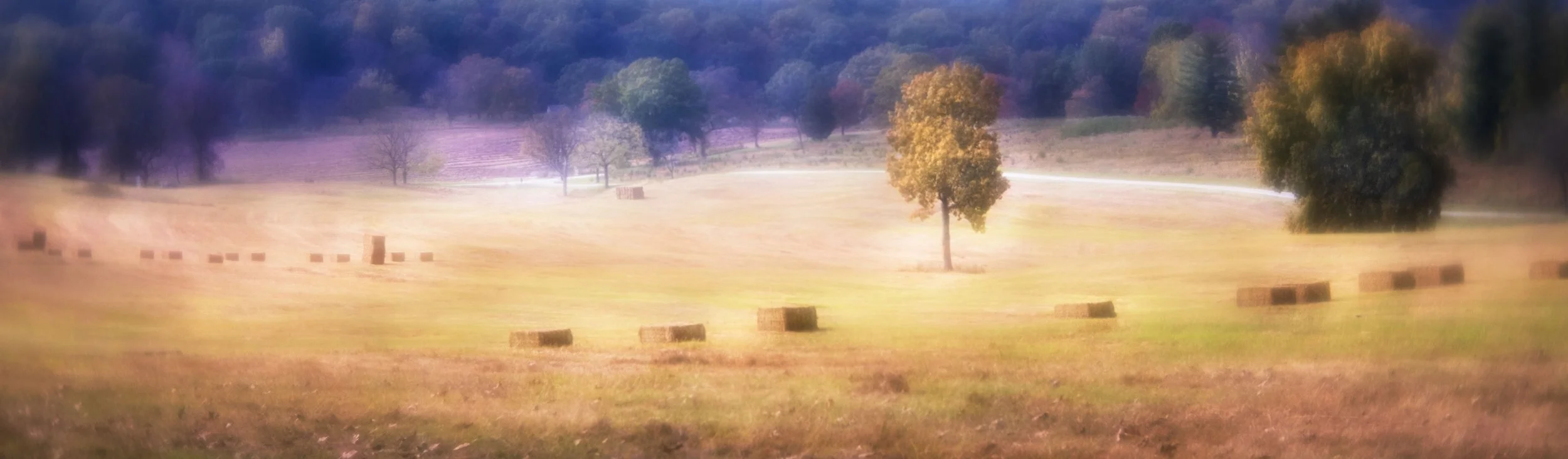 Valley Forge