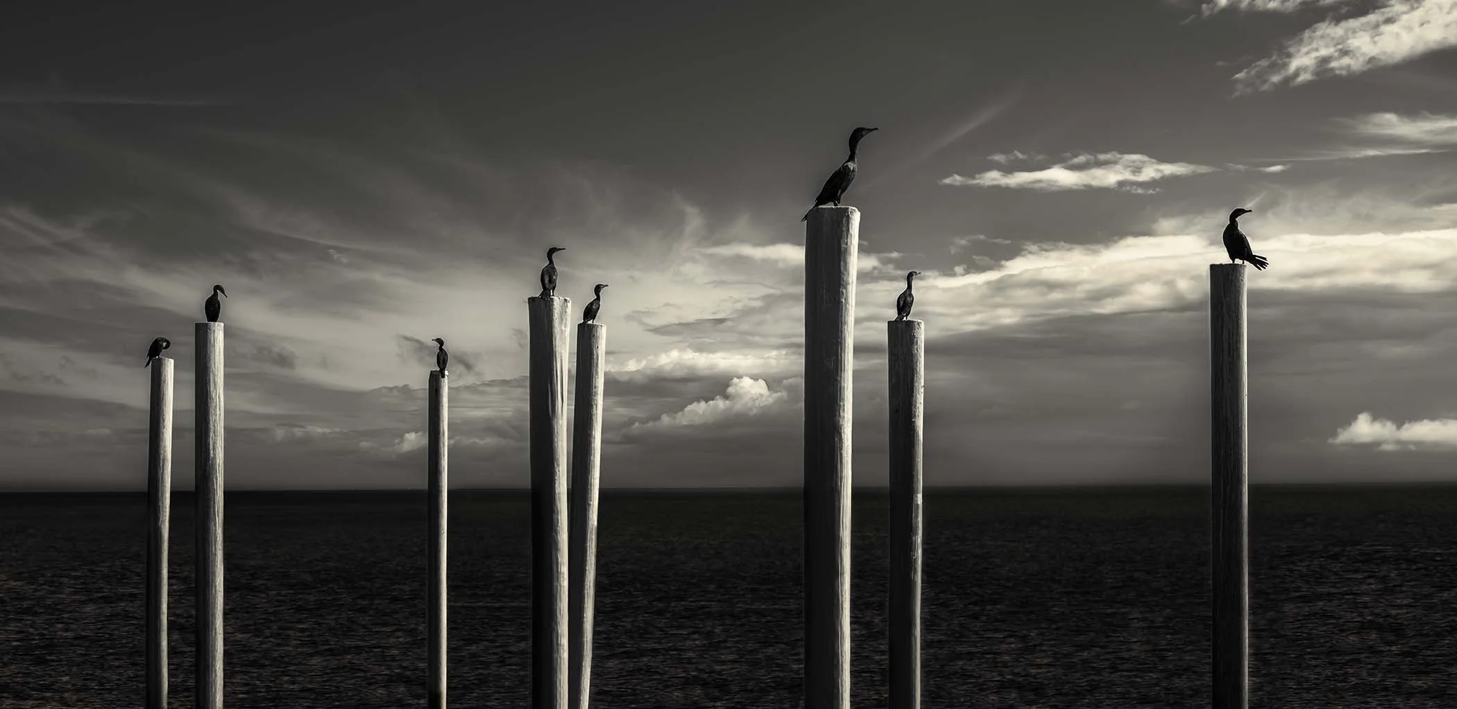 Harbingers