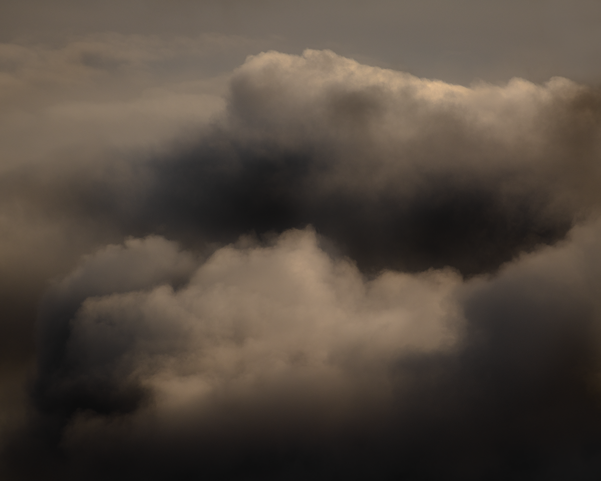 Declan O'Dowd Copyrite 2025-0239.png