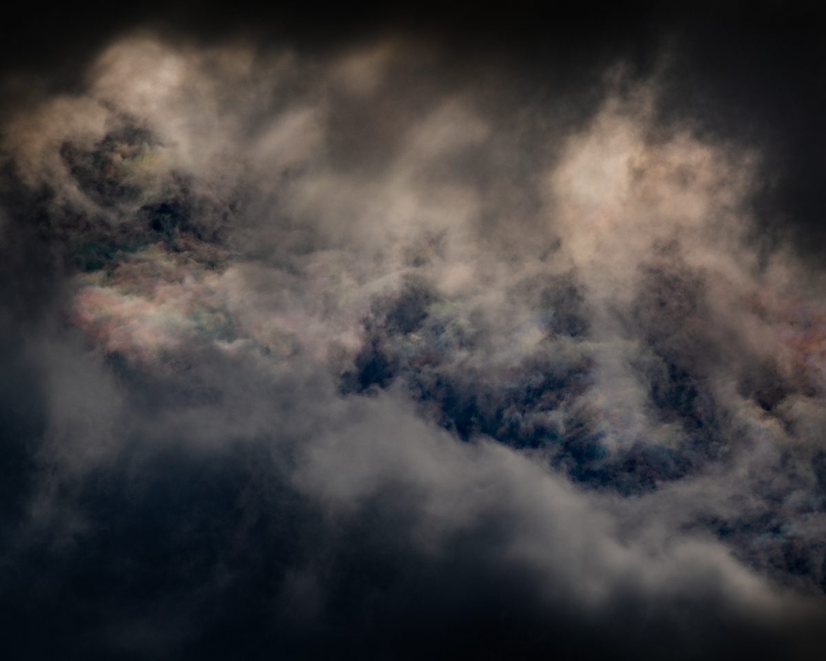 Declan O'Dowd Copyrite 2025-9608.png