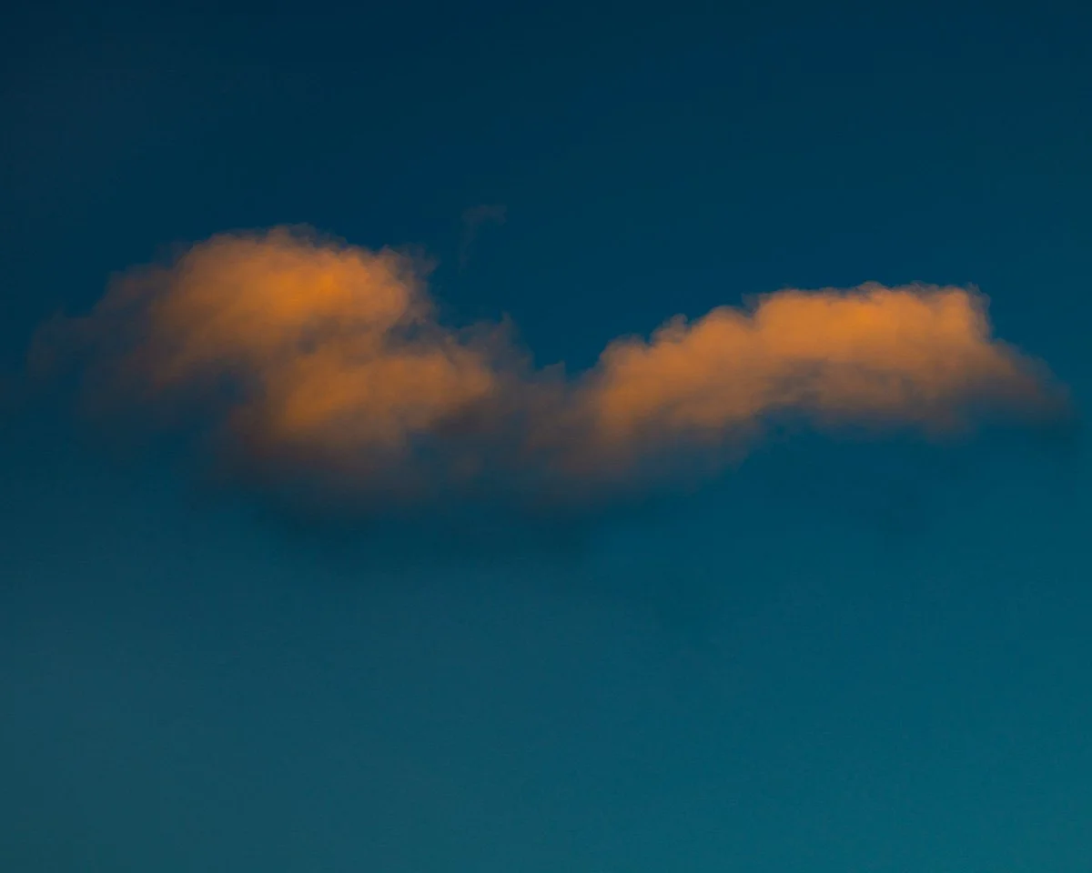 Declan O'Dowd Copyrite 2025-0187.jpg