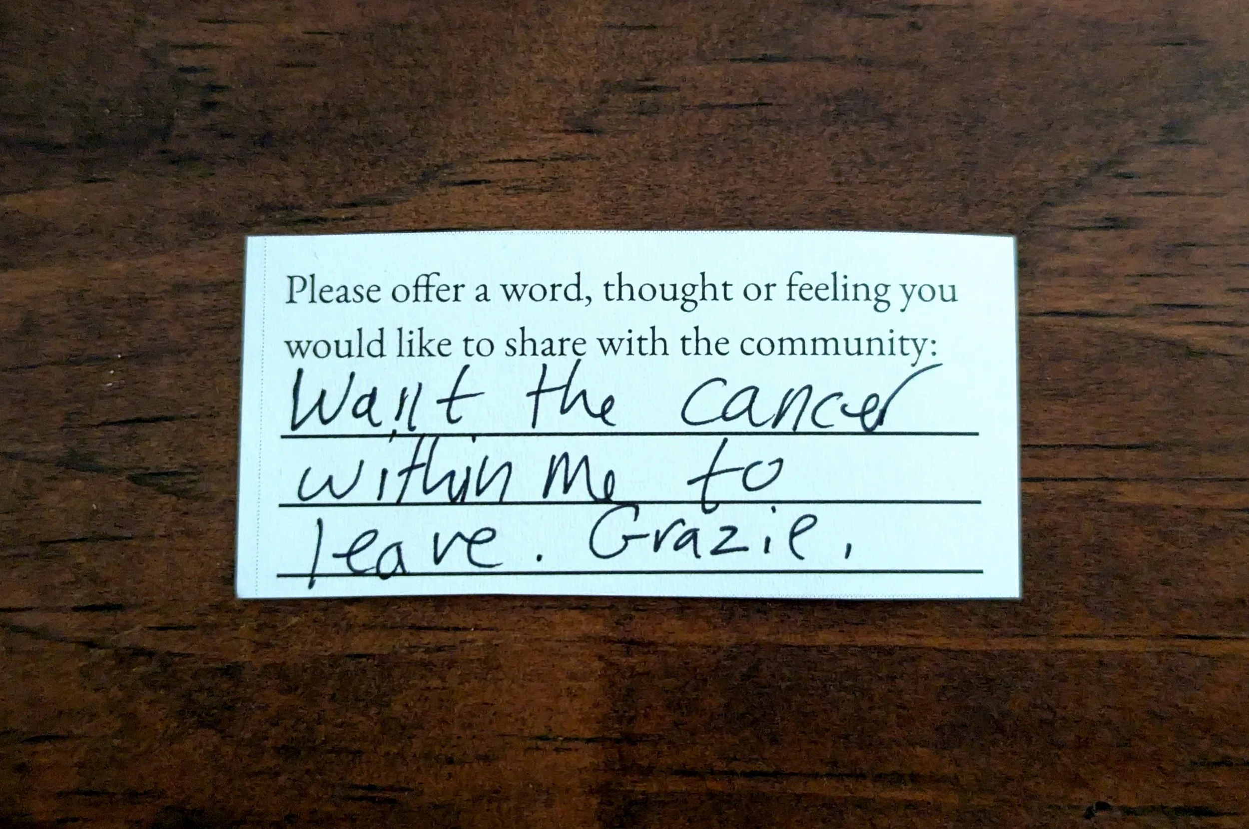 Offering 007 - "Want the cancer within me to leave. Grazie."
