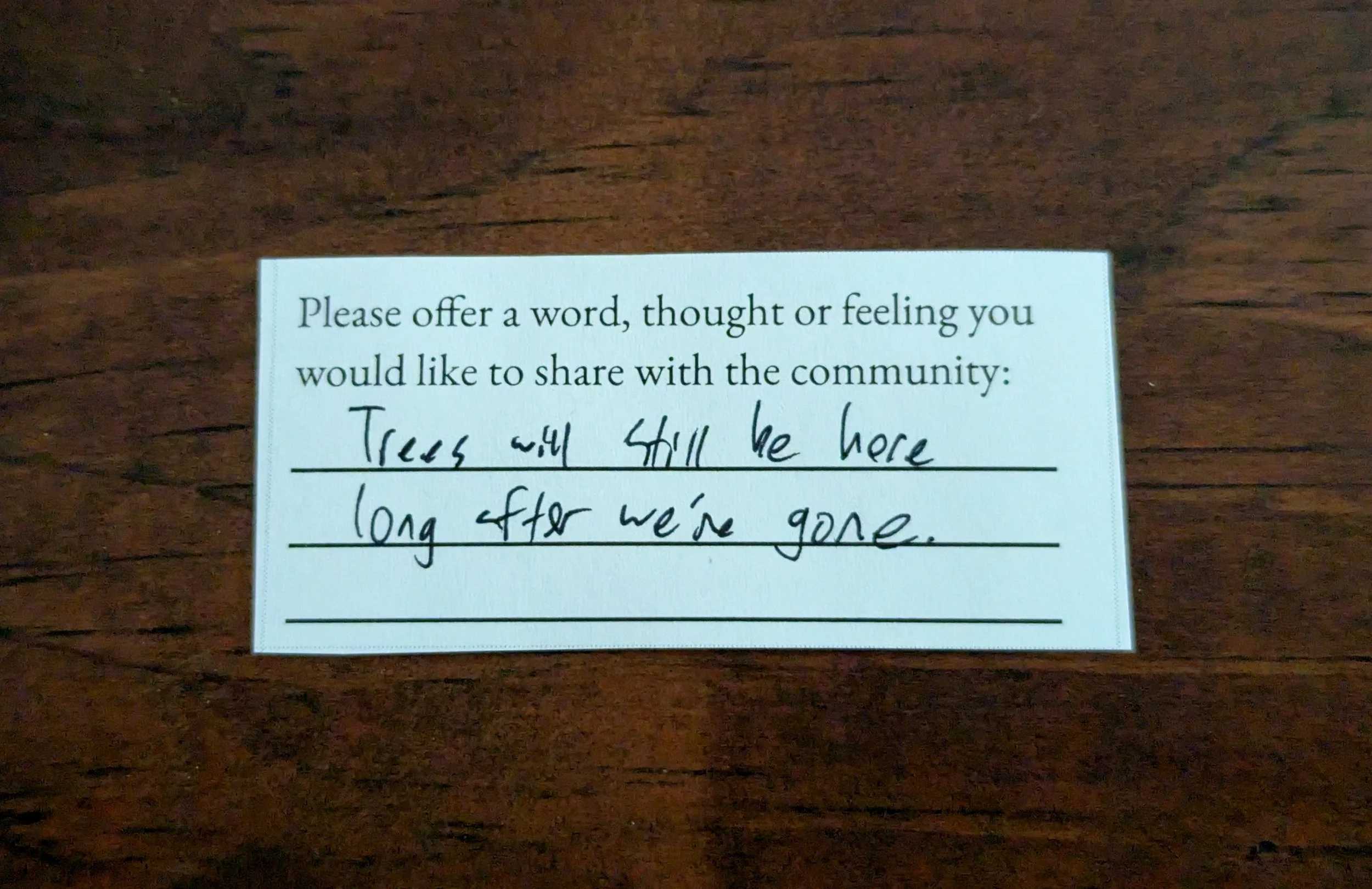 Offering 095 - "Trees will still be here long after we're gone."