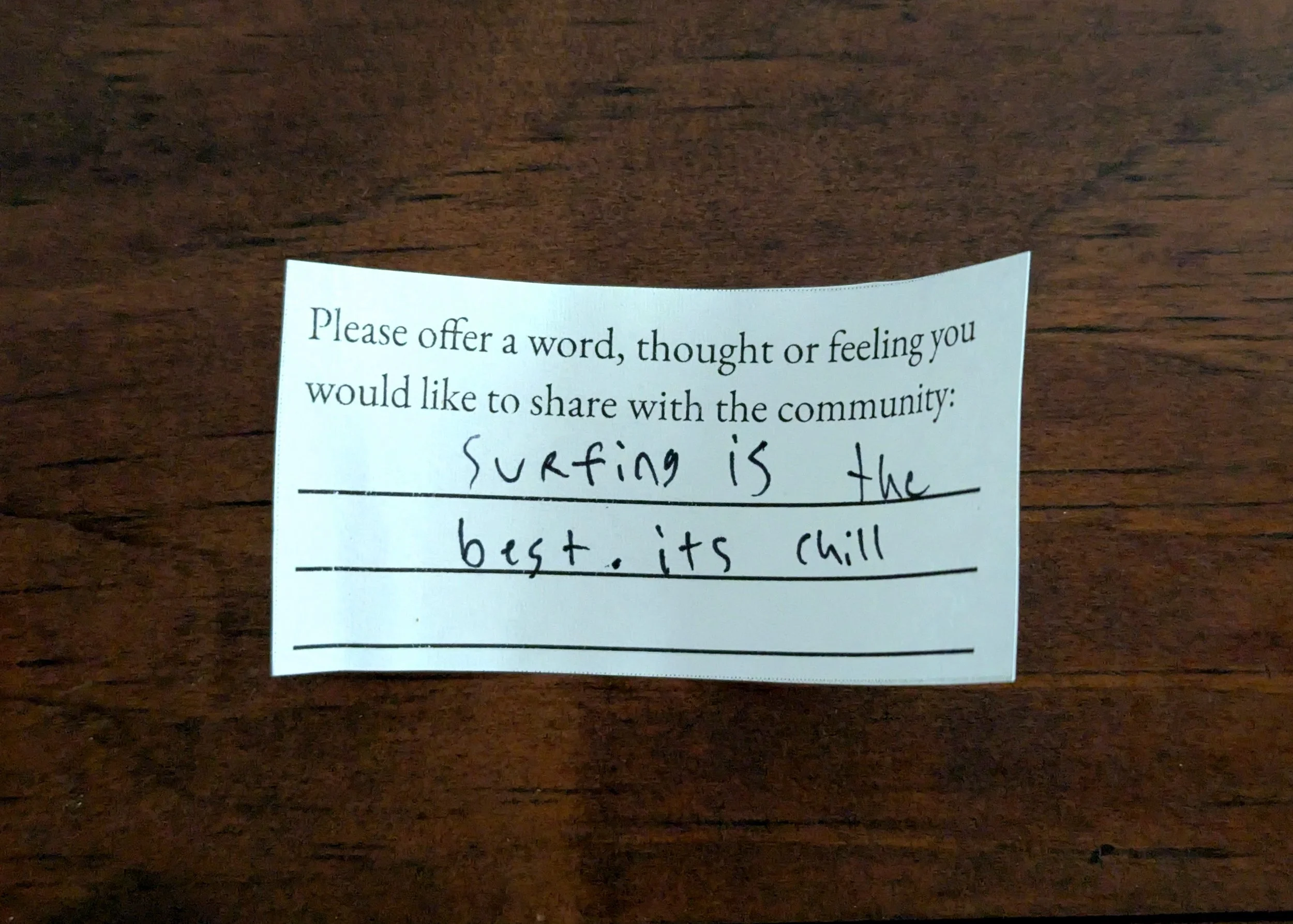 Offering 019 - "Surfing is the best. its chill"