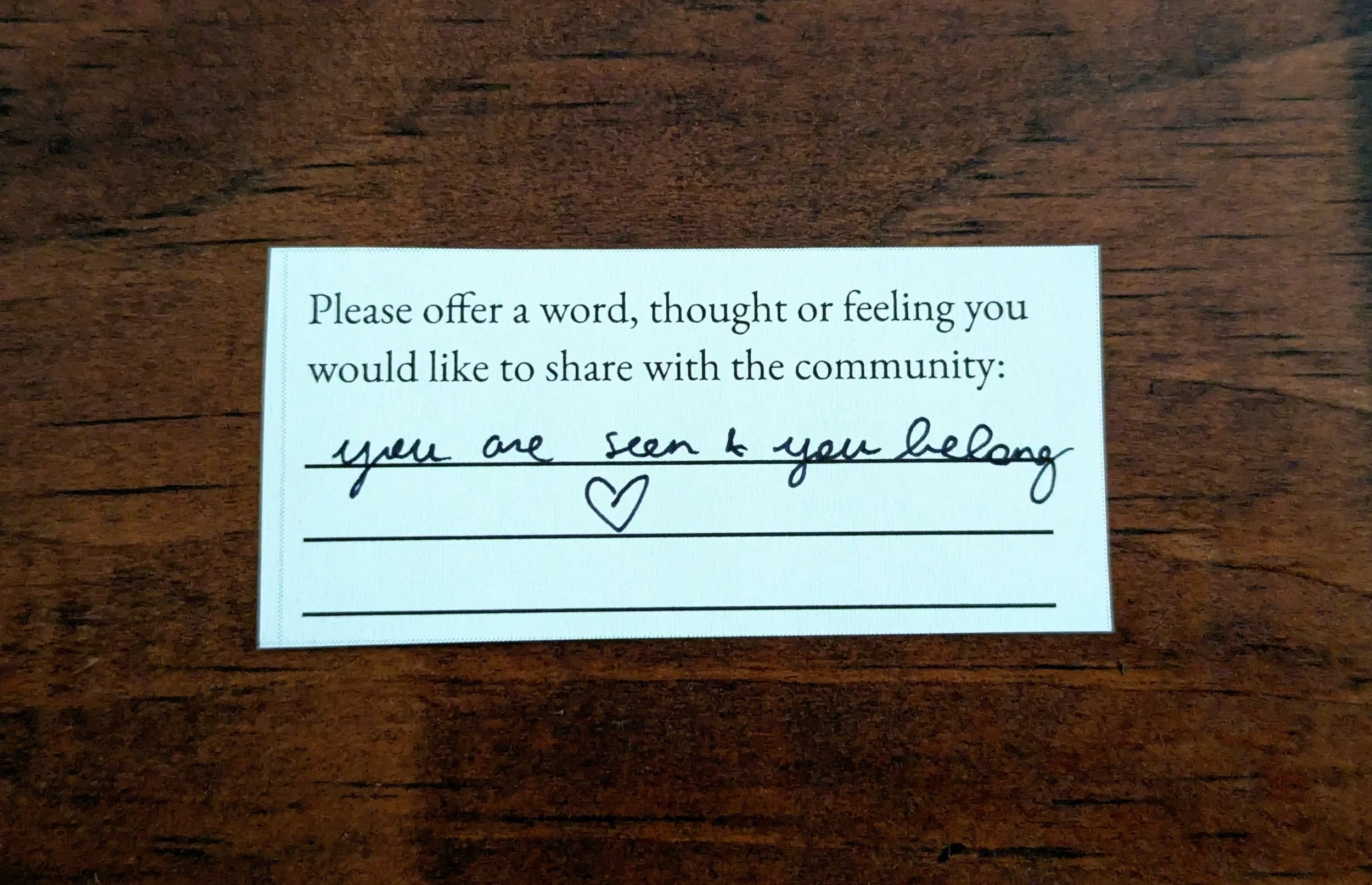 Offering 026 - "you are seen + you belong"
