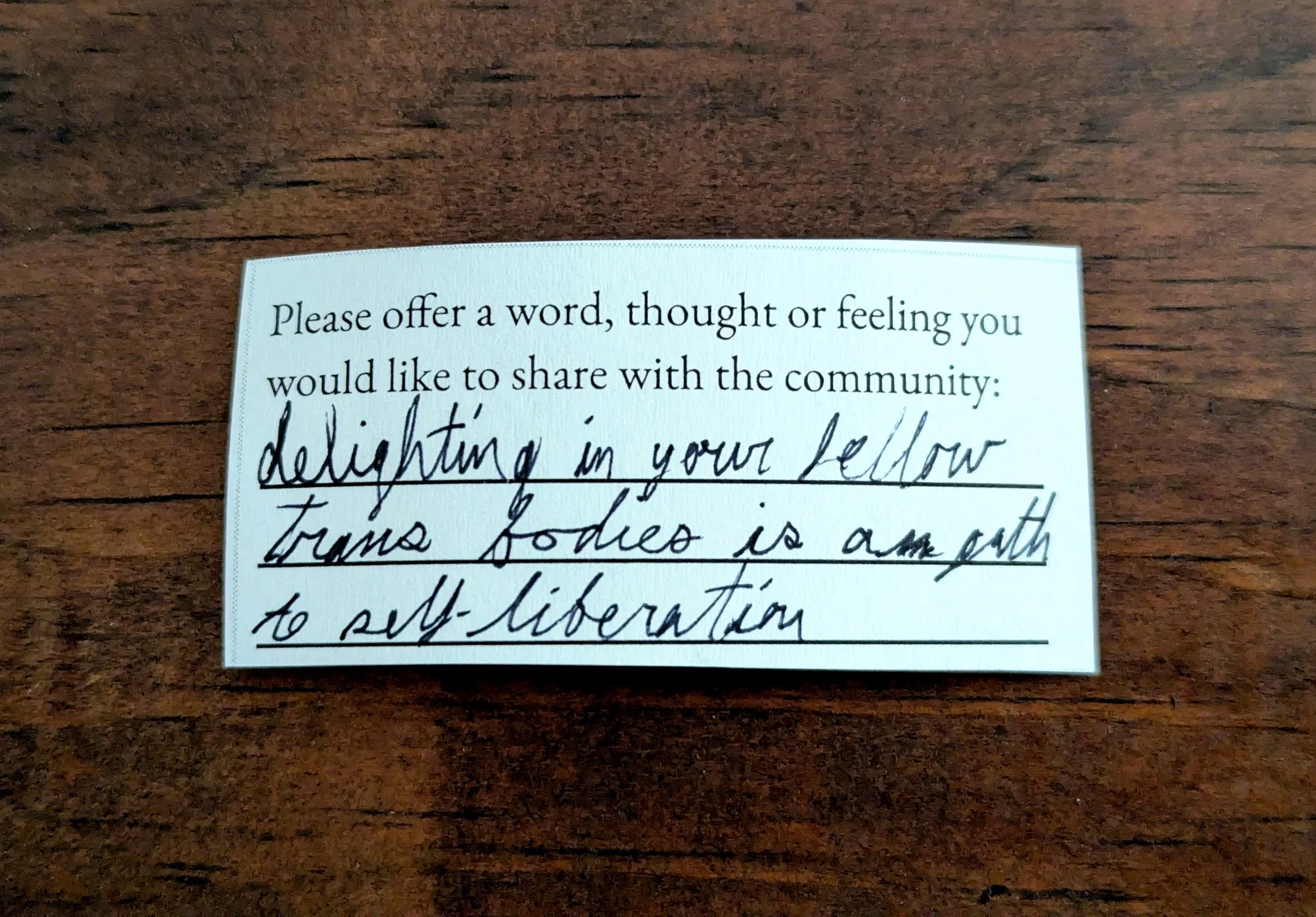 Offering 015 - "delighting in your fellow trans bodies is a path to self liberation"