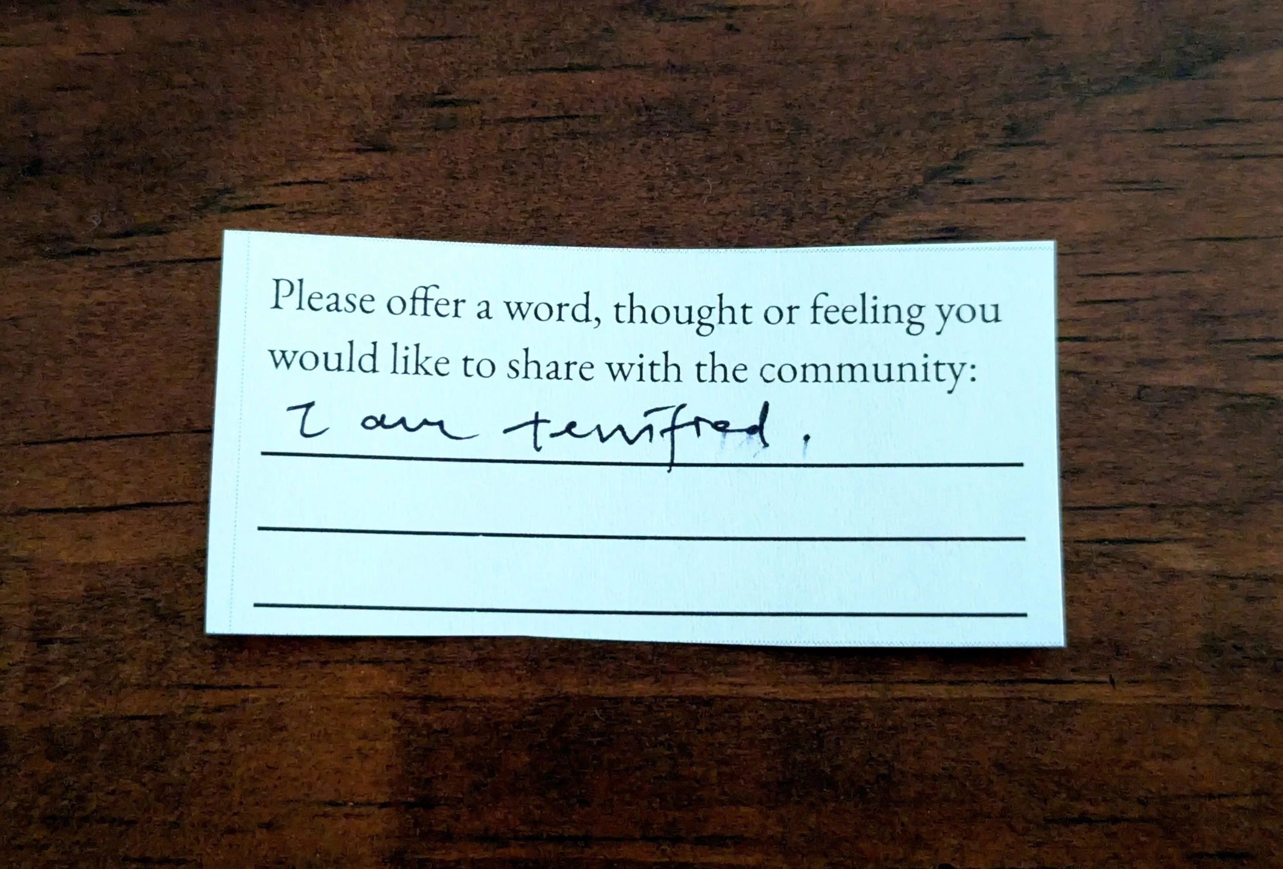 Offering 047 - "I am terrified."