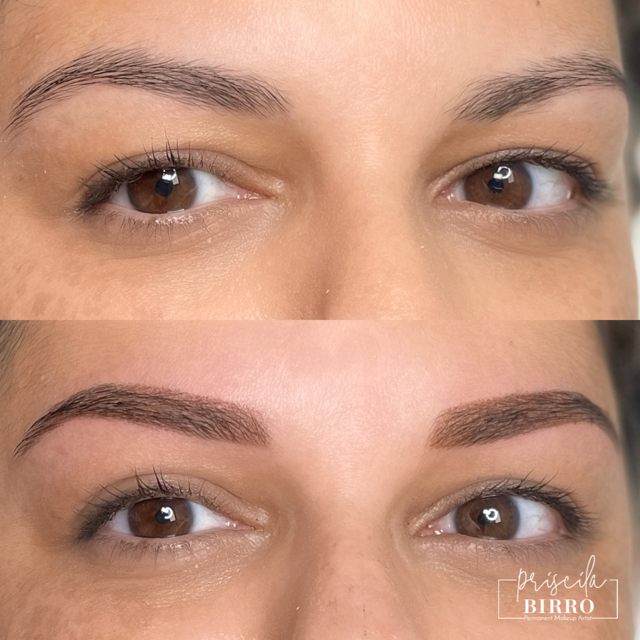 Eyebrow Microblading Boca Raton South Florida Brows — Priscila Birro