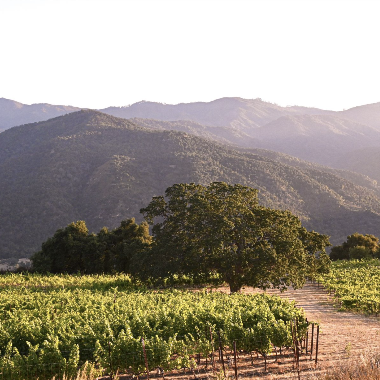 Screen Shot 2020-10-06 at 3.24.36 PM.png