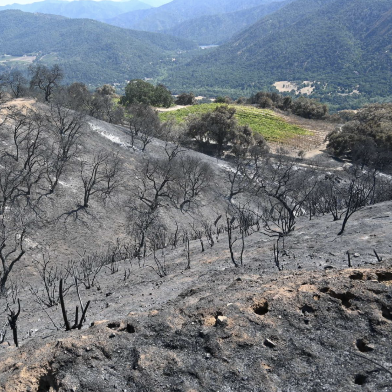 Screen Shot 2020-10-06 at 3.26.52 PM.png