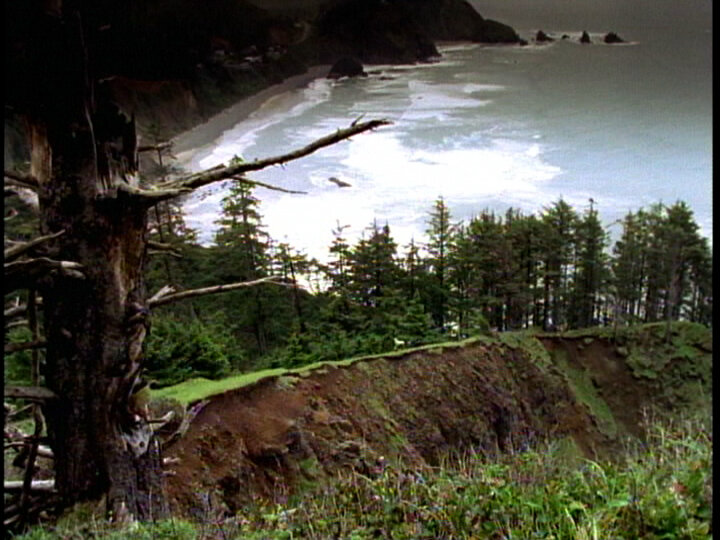 trail running.jpg