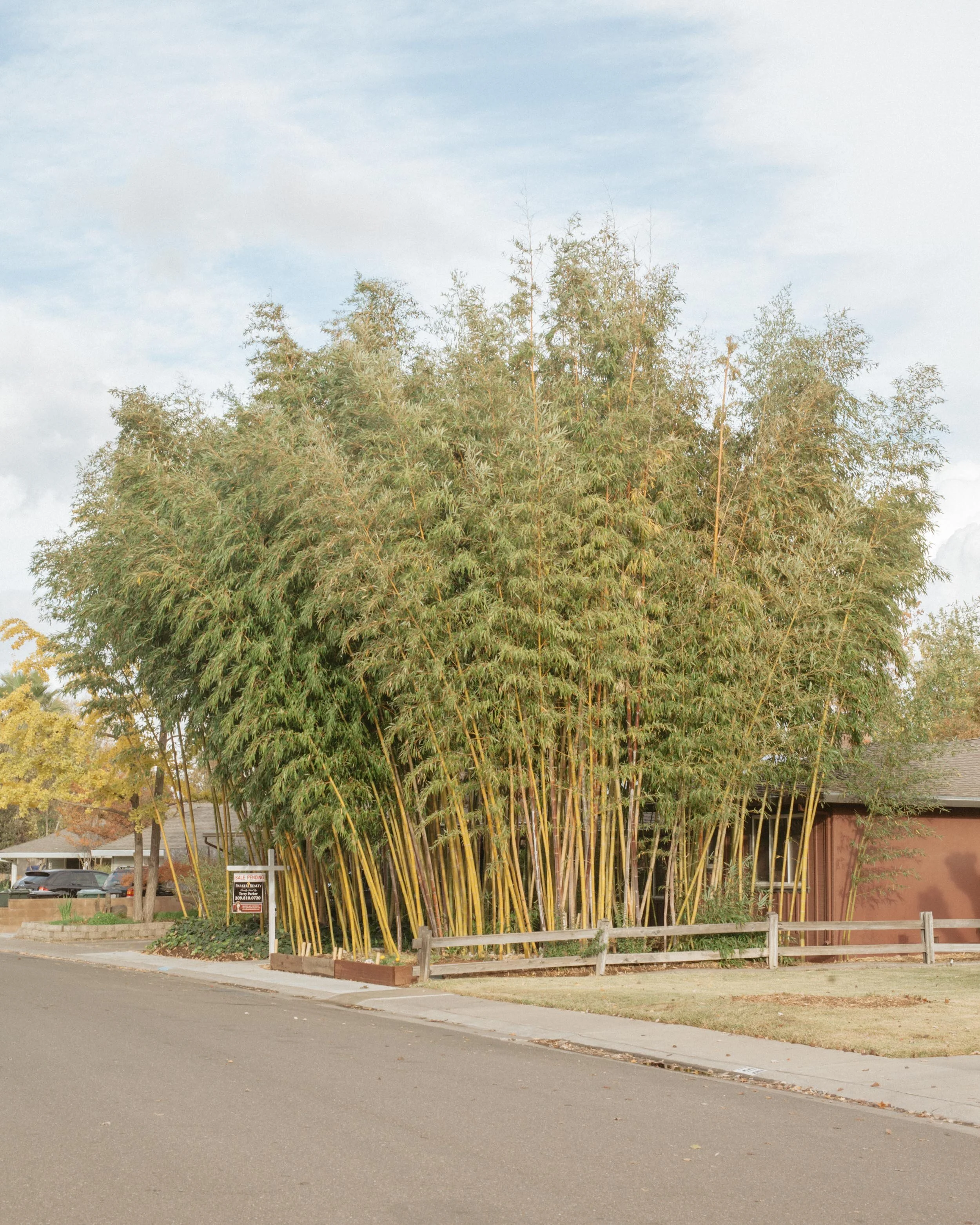 Enoch_Ku_ordinarysacramento-8.jpg