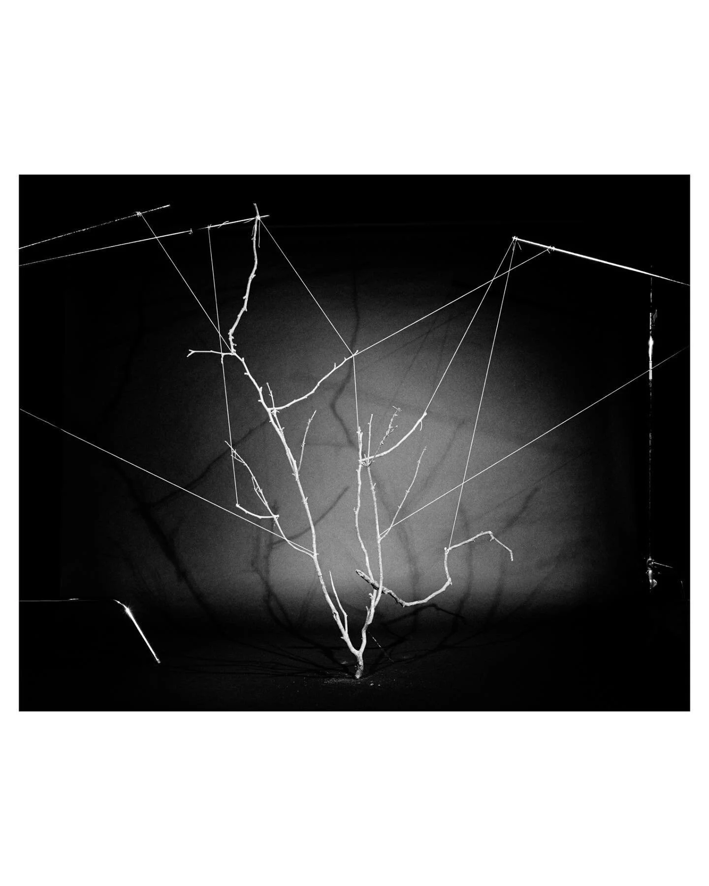 Thing Tectonics
With her series Thing Tectonics, photographer Su Ji Lee aka @izzysqzy makes us more aware of the ‘things’ we often forget or take for granted in our daily lives. Her work reimagines everyday minute items and activates the