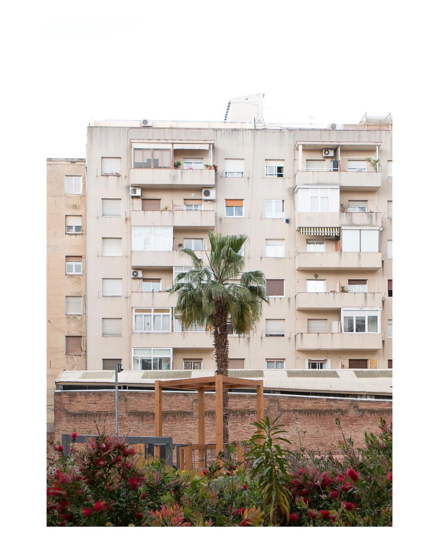 Campo de batalla (Battlefield)
In every city, there’s a tension between the urban environment and nature. But can we even talk about ‘nature’ in big cities? For photographer Itsaso Arizkuren, the combination of city and nature repr