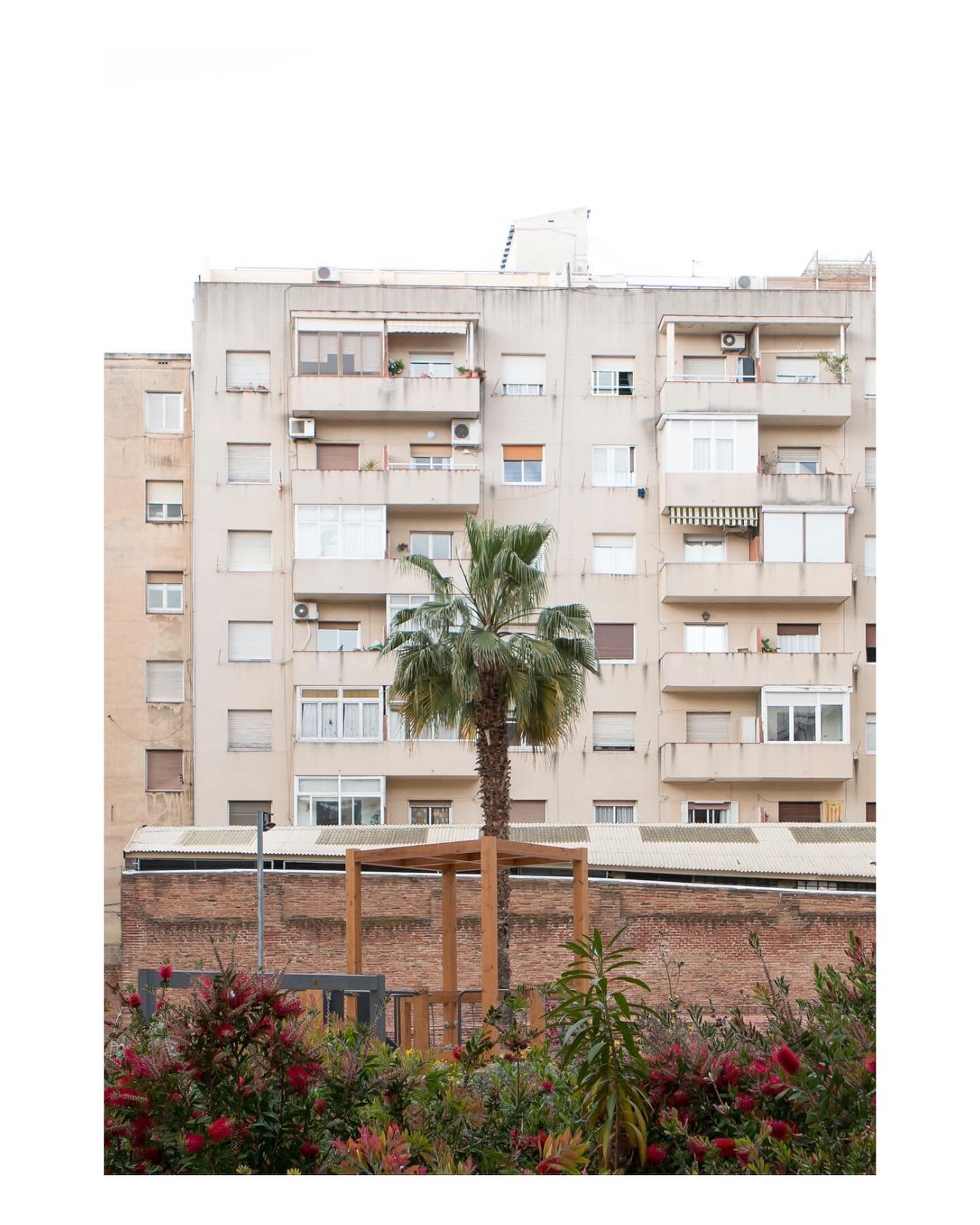 Campo de batalla (Battlefield)

In every city, there&rsquo;s a tension between the urban environment and nature. But can we even talk about &lsquo;nature&rsquo; in big cities? For photographer Itsaso Arizkuren, the combination of city and nature repr