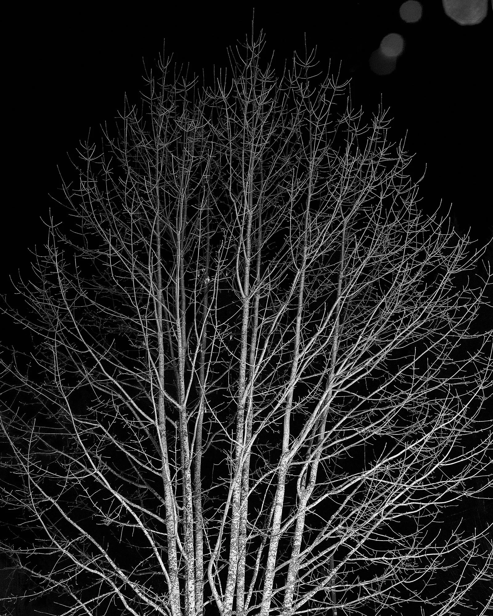 Meteor Ghosts