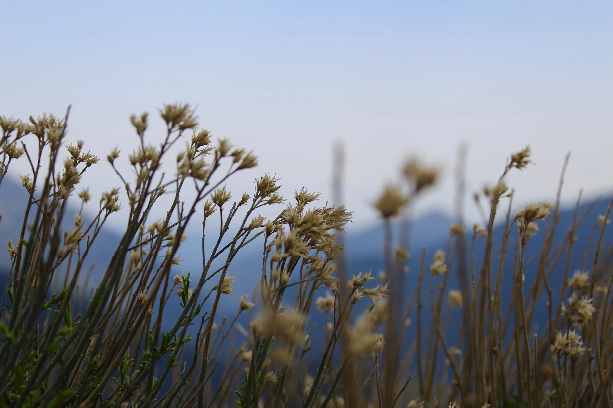 Revisiting the Valley......